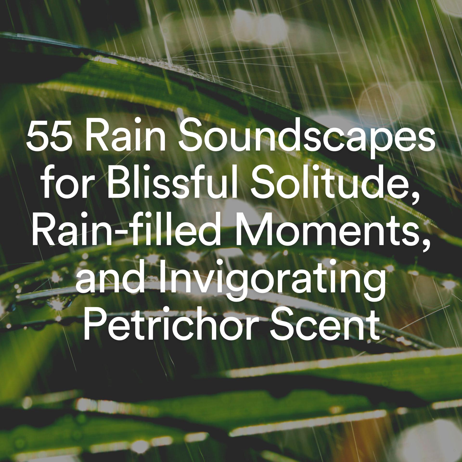 Постер альбома 55 Rain Soundscapes for Blissful Solitude, Rain-filled Moments, and Invigorating Petrichor Scent