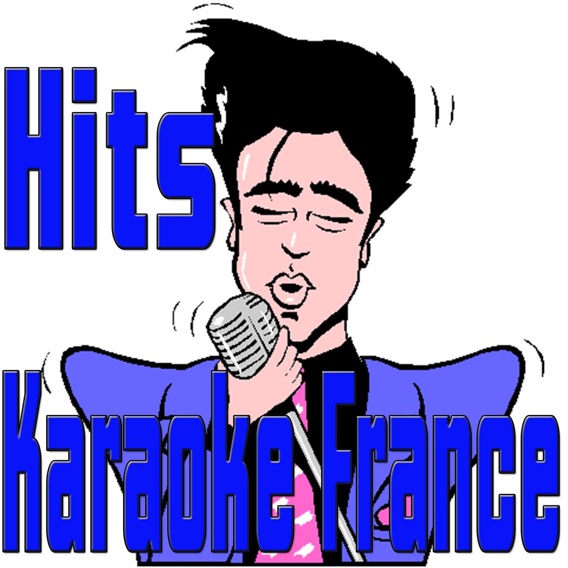 Постер альбома Hits karaoke France