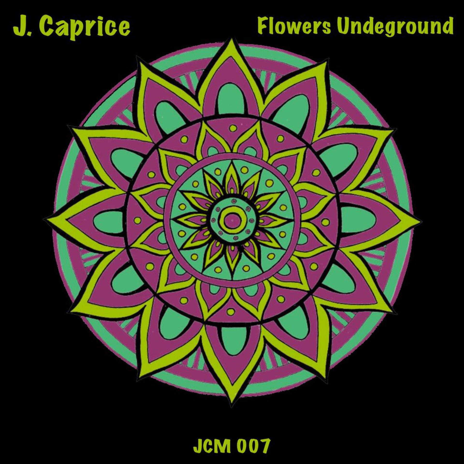 Постер альбома Flowers Underground