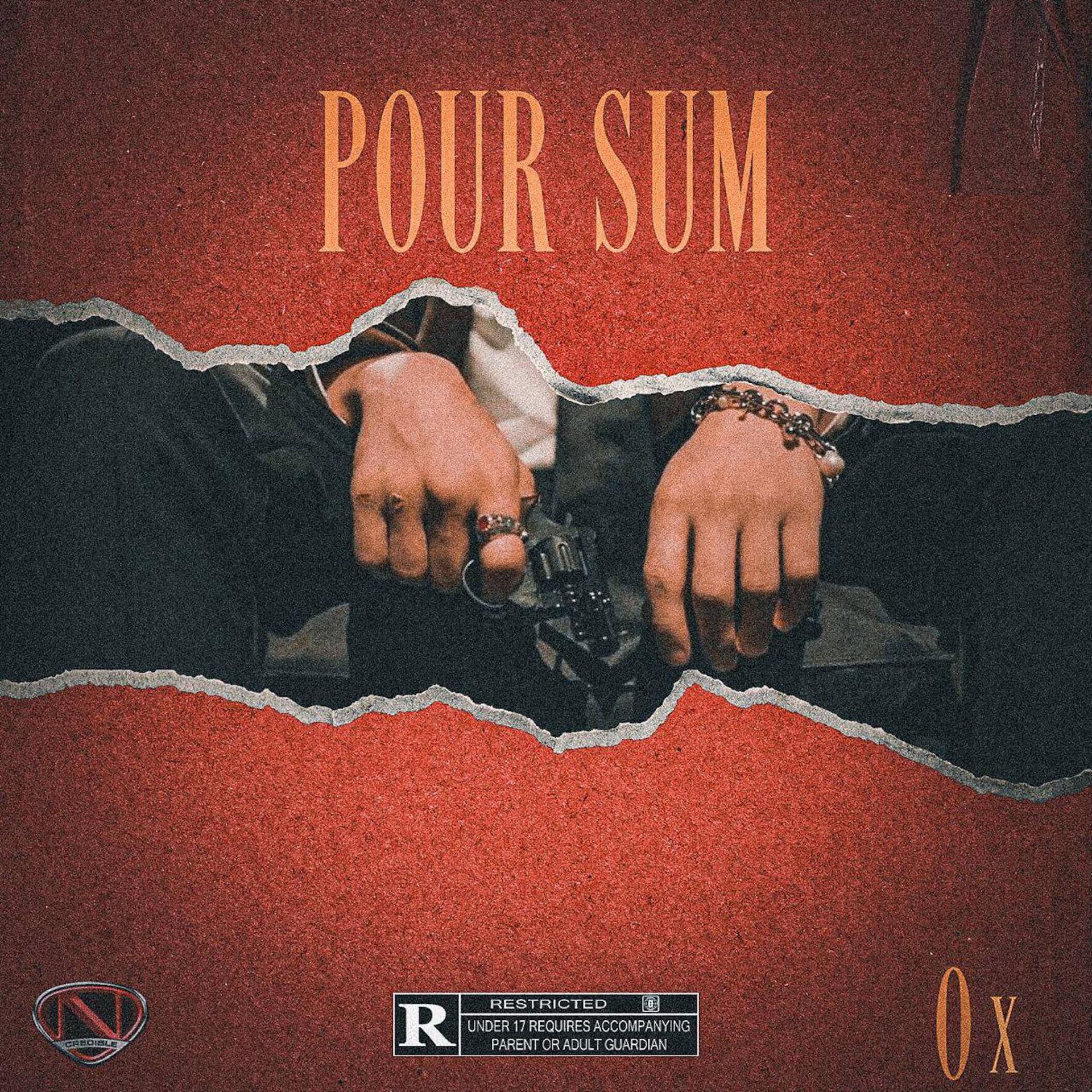 Постер альбома Pour Sum