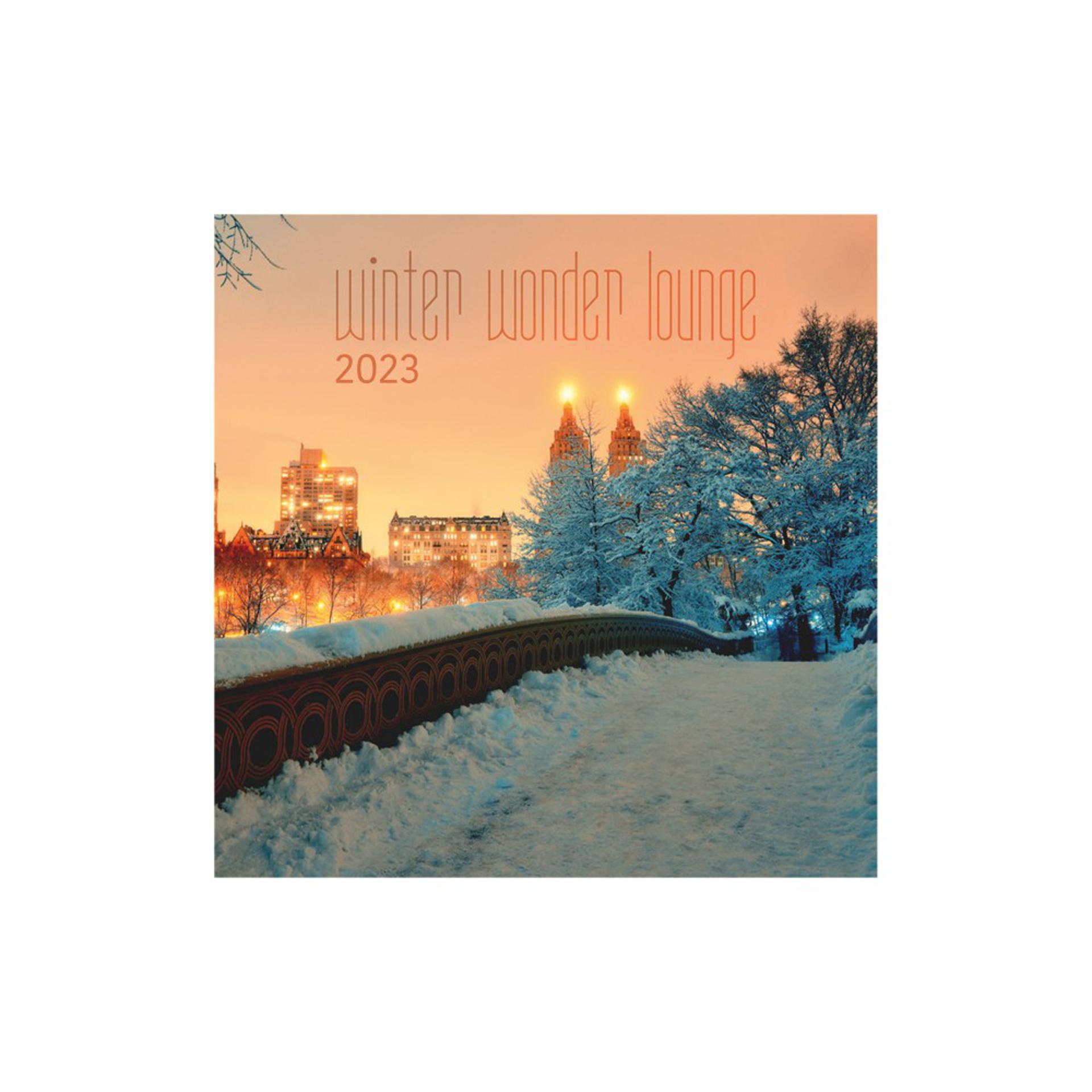 Постер альбома Winter Wonder Lounge 2023