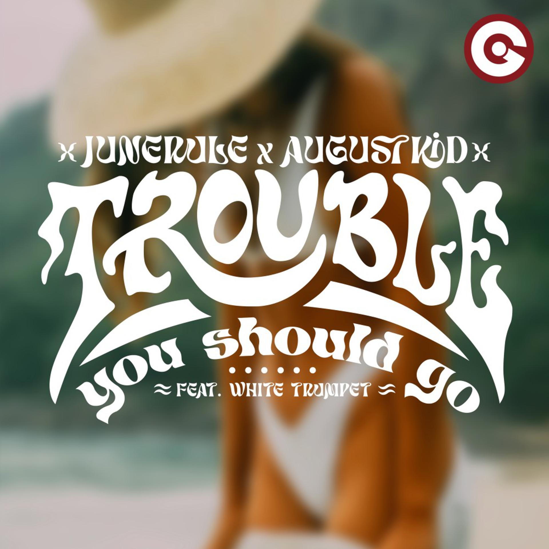 Постер альбома Trouble (You Should Go)