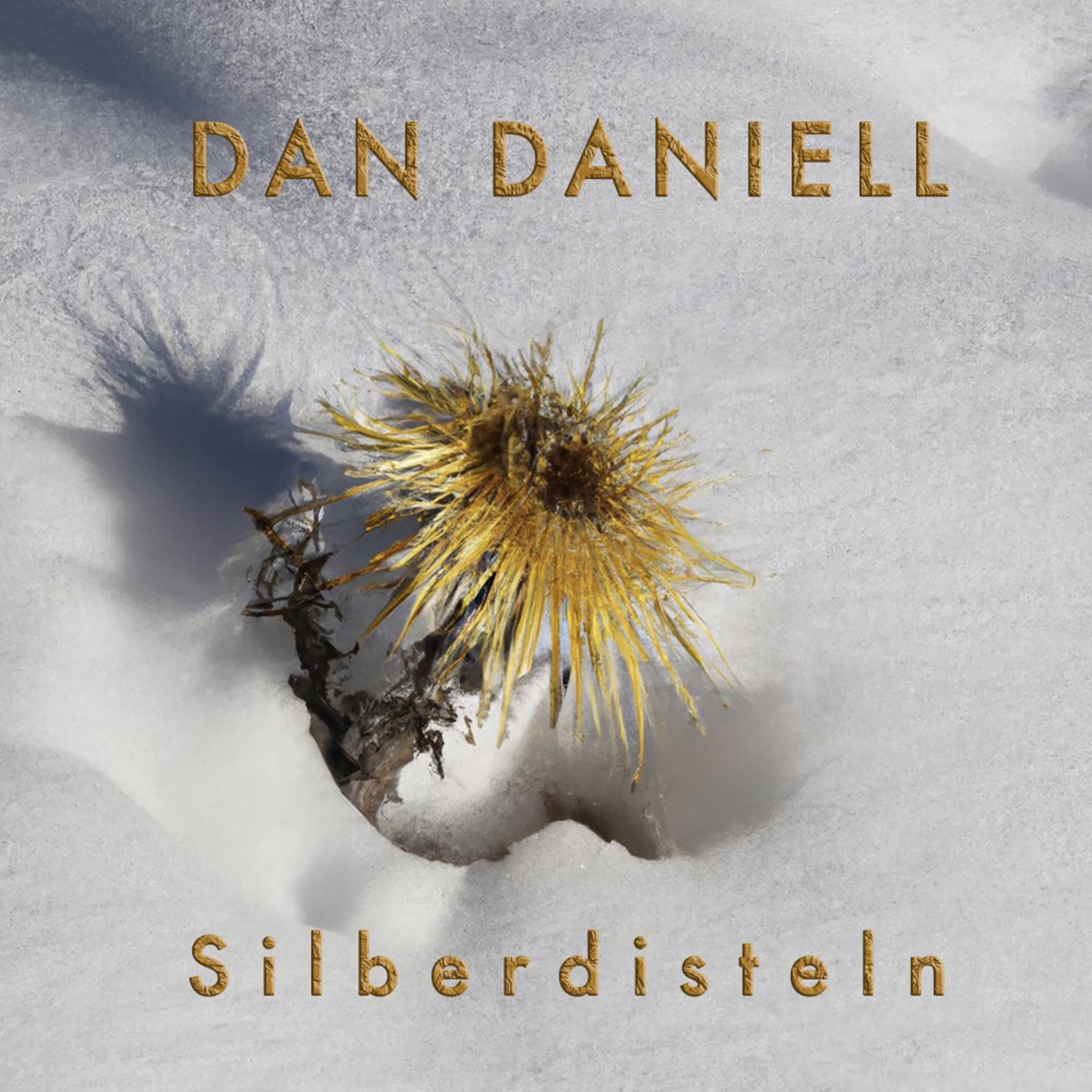 Постер альбома Silberdisteln