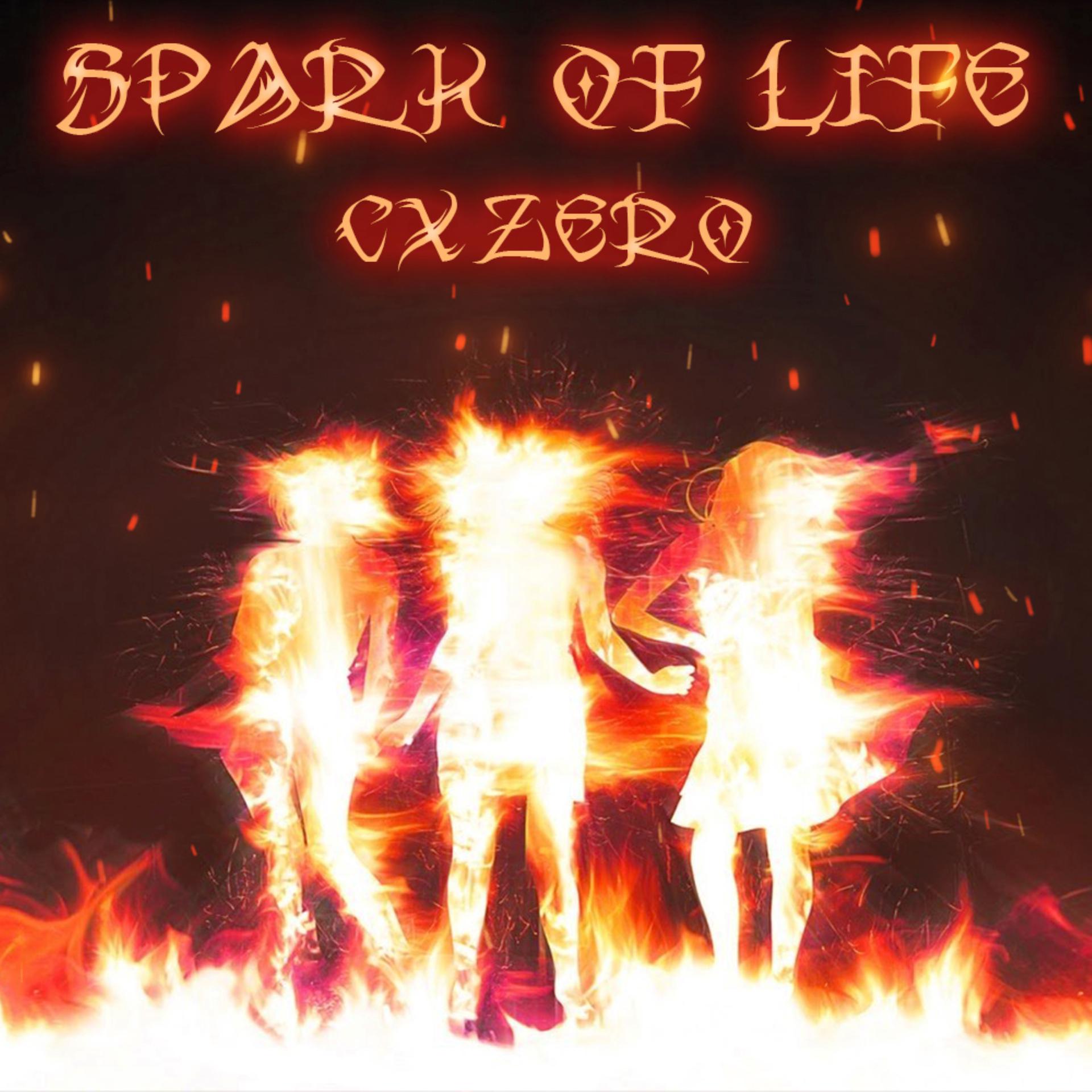 Постер альбома SPARK OF LIFE