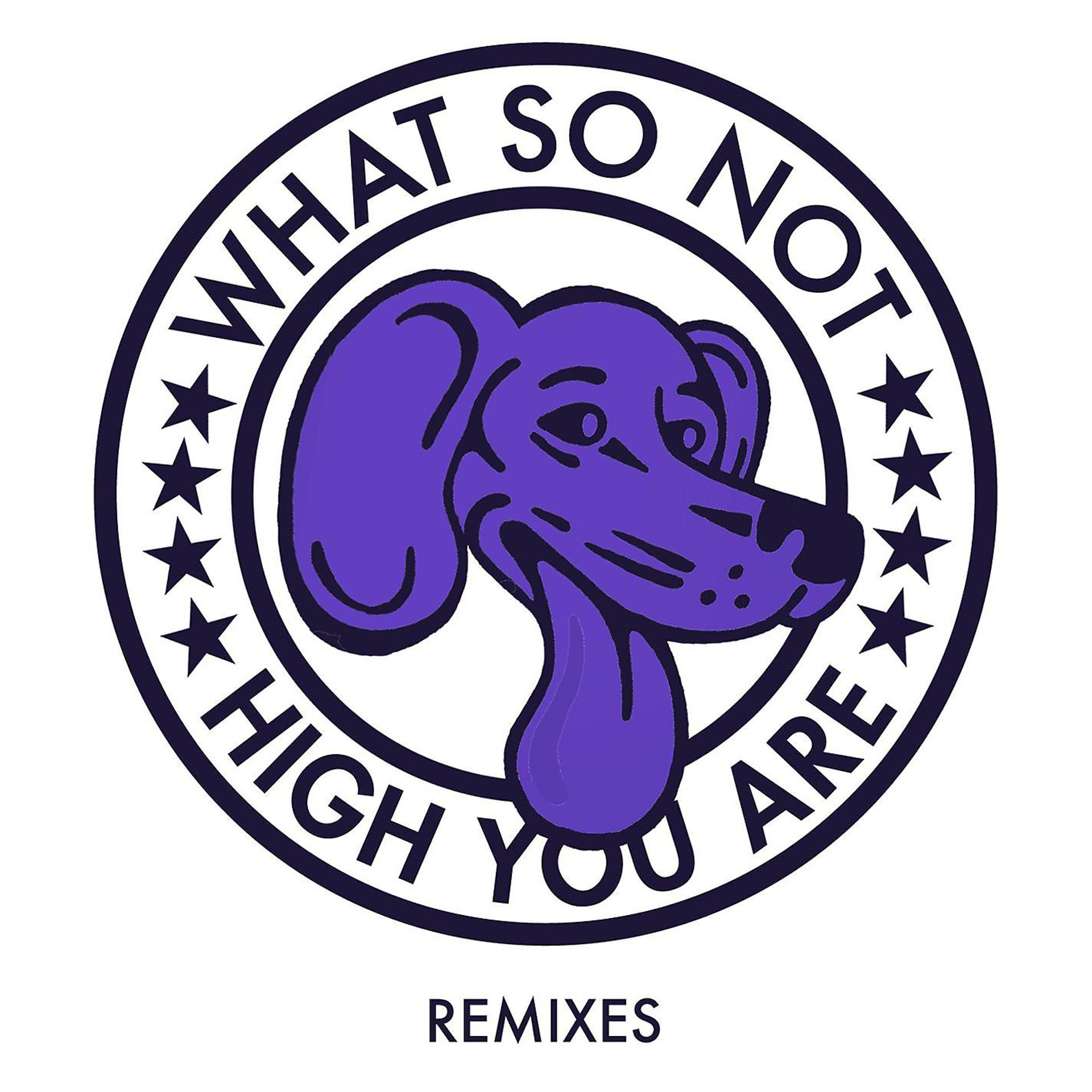 Постер альбома High You Are (Remixes)
