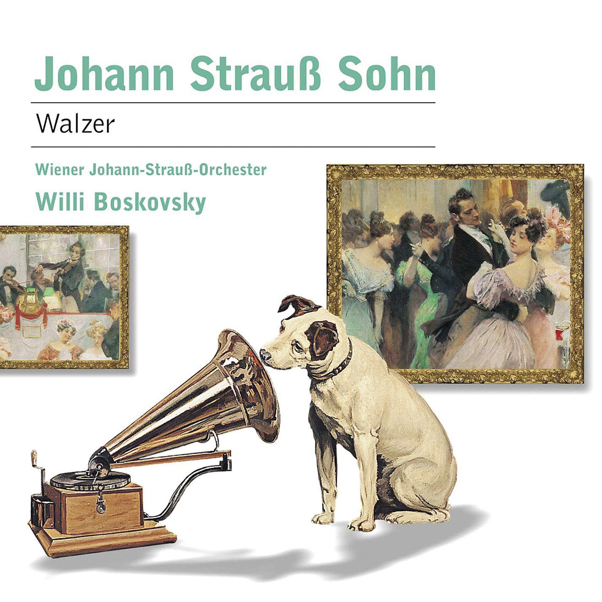 Постер альбома Strauss II: Walzer