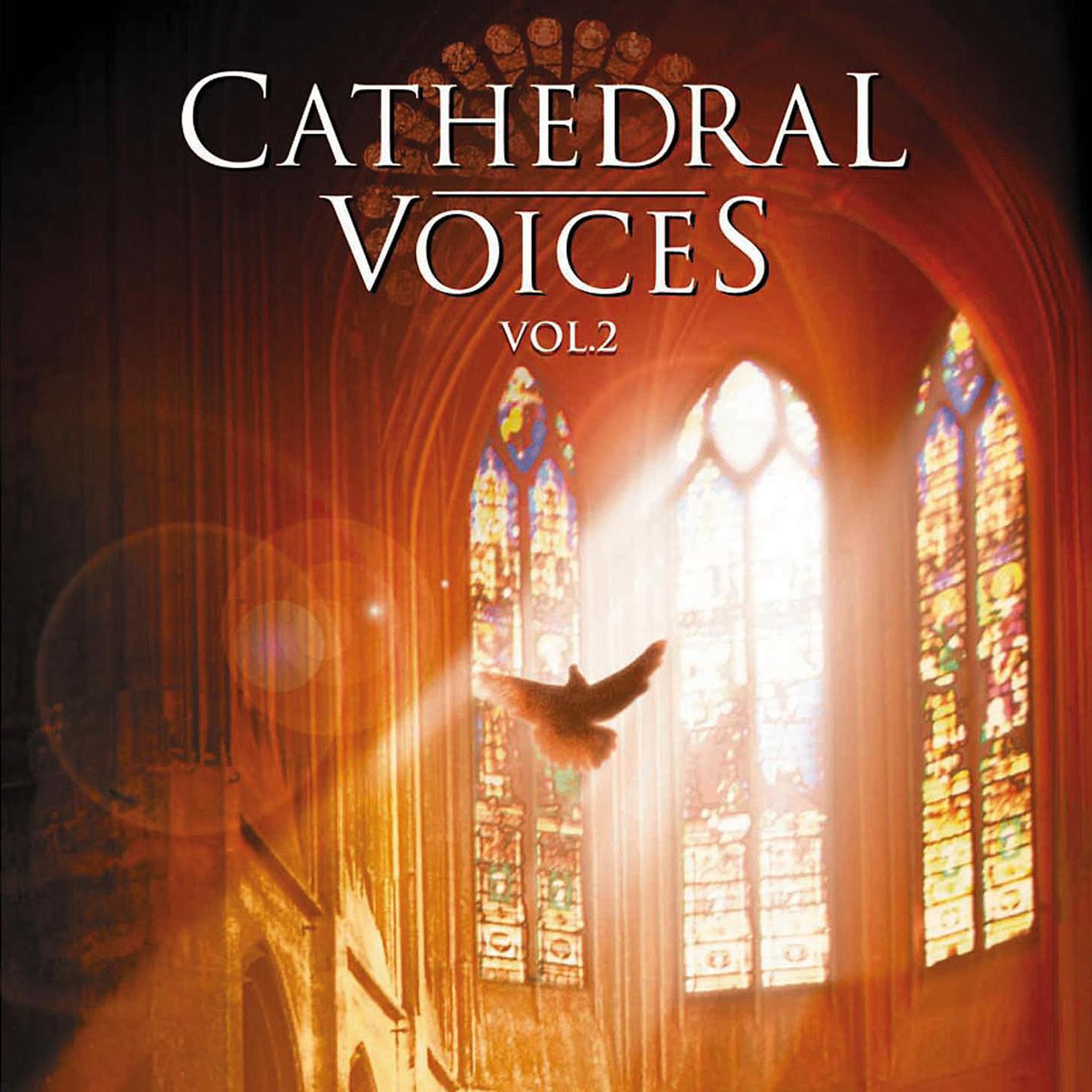 Постер альбома Cathedral Voices - Vol. 2