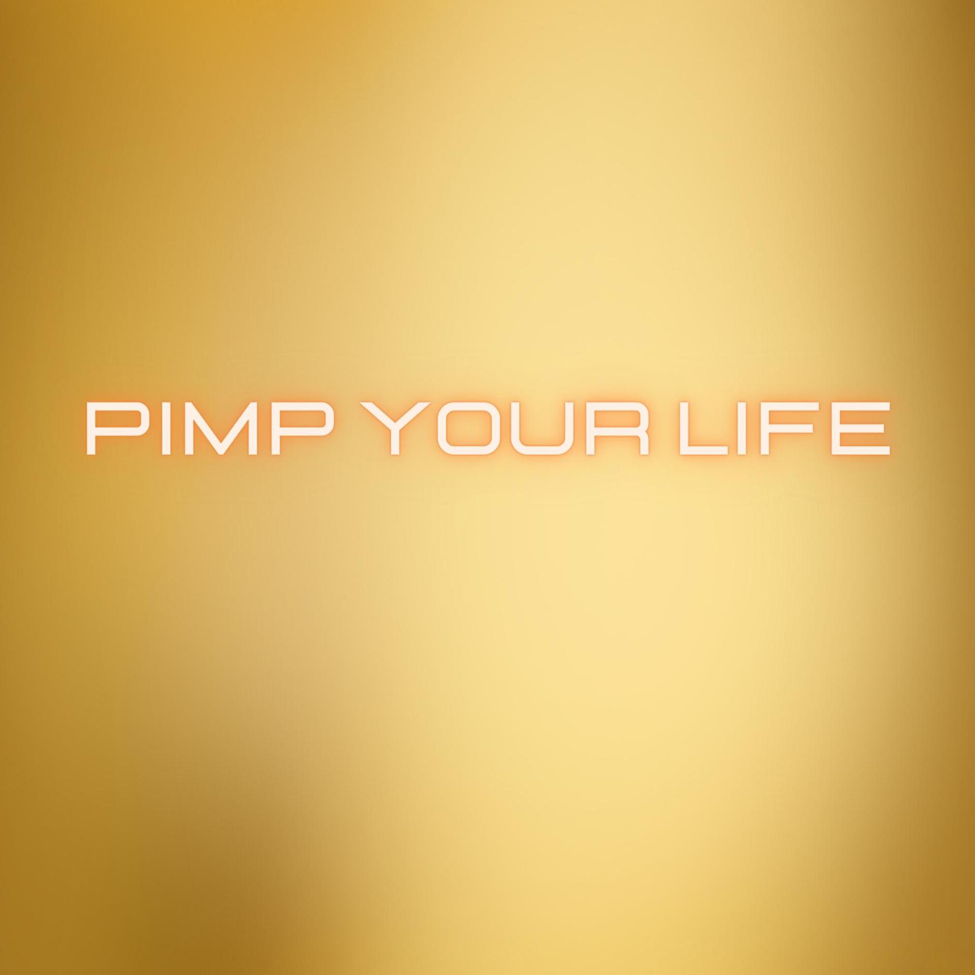 Постер альбома PIMP YOUR LIFE