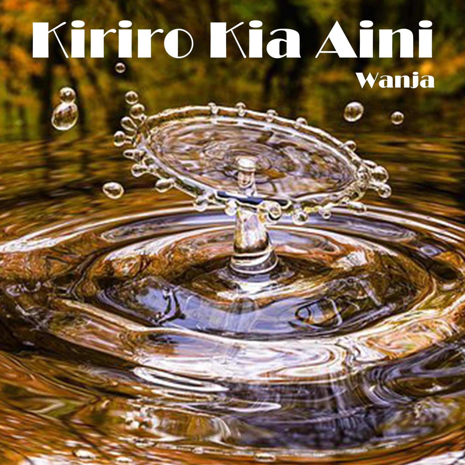 Постер альбома Kiriro Kia Aini