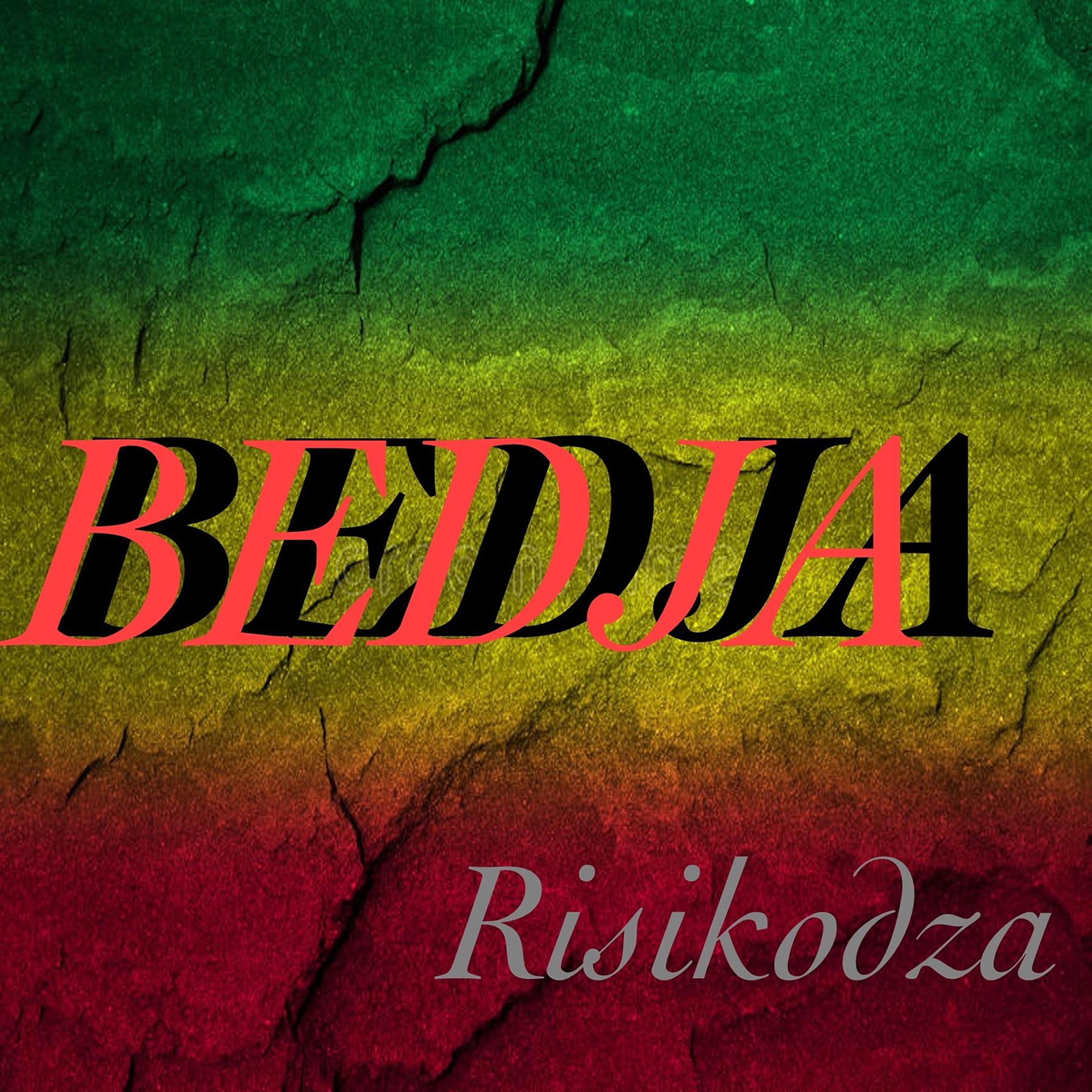 Постер альбома Risikodza
