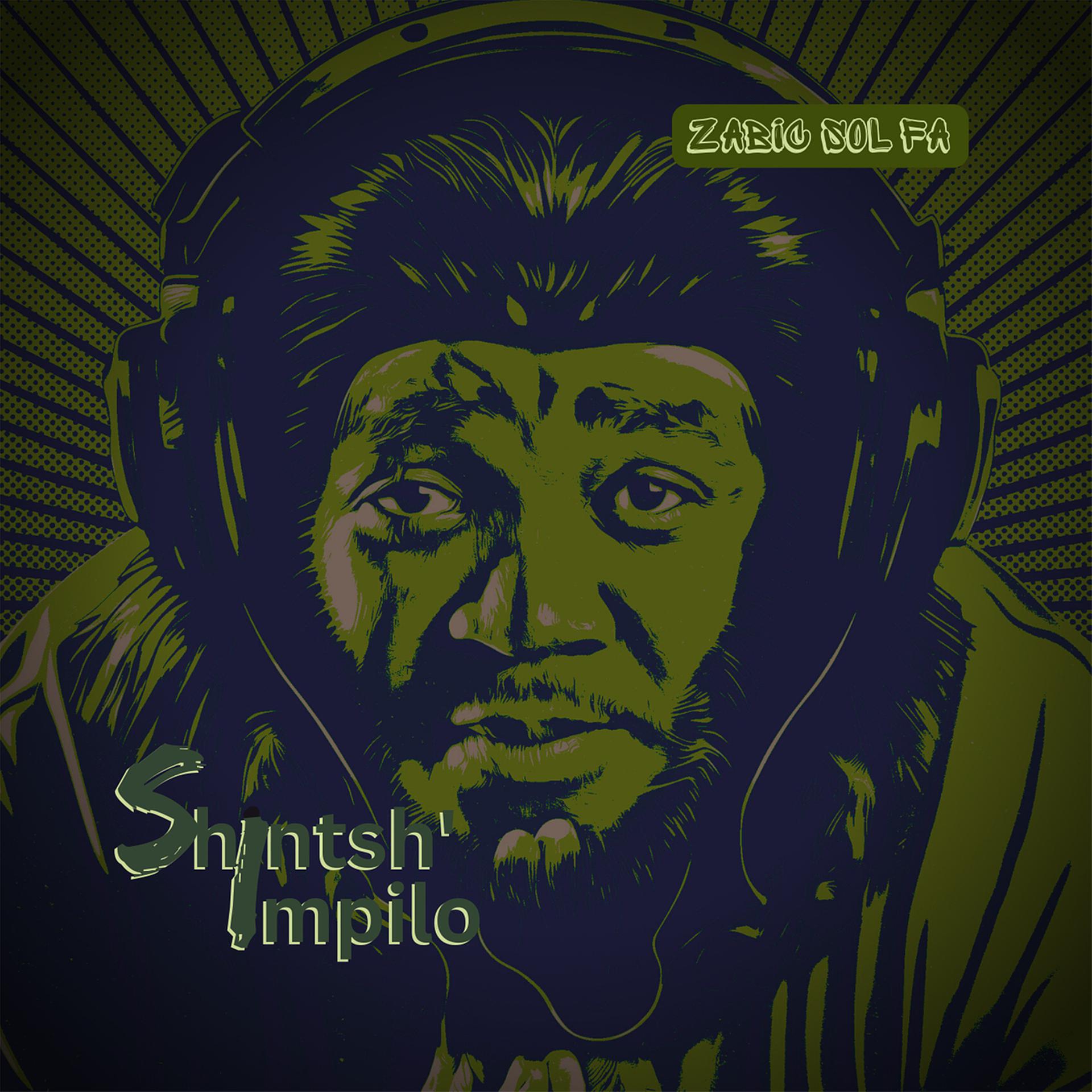 Постер альбома Shintsh' impilo
