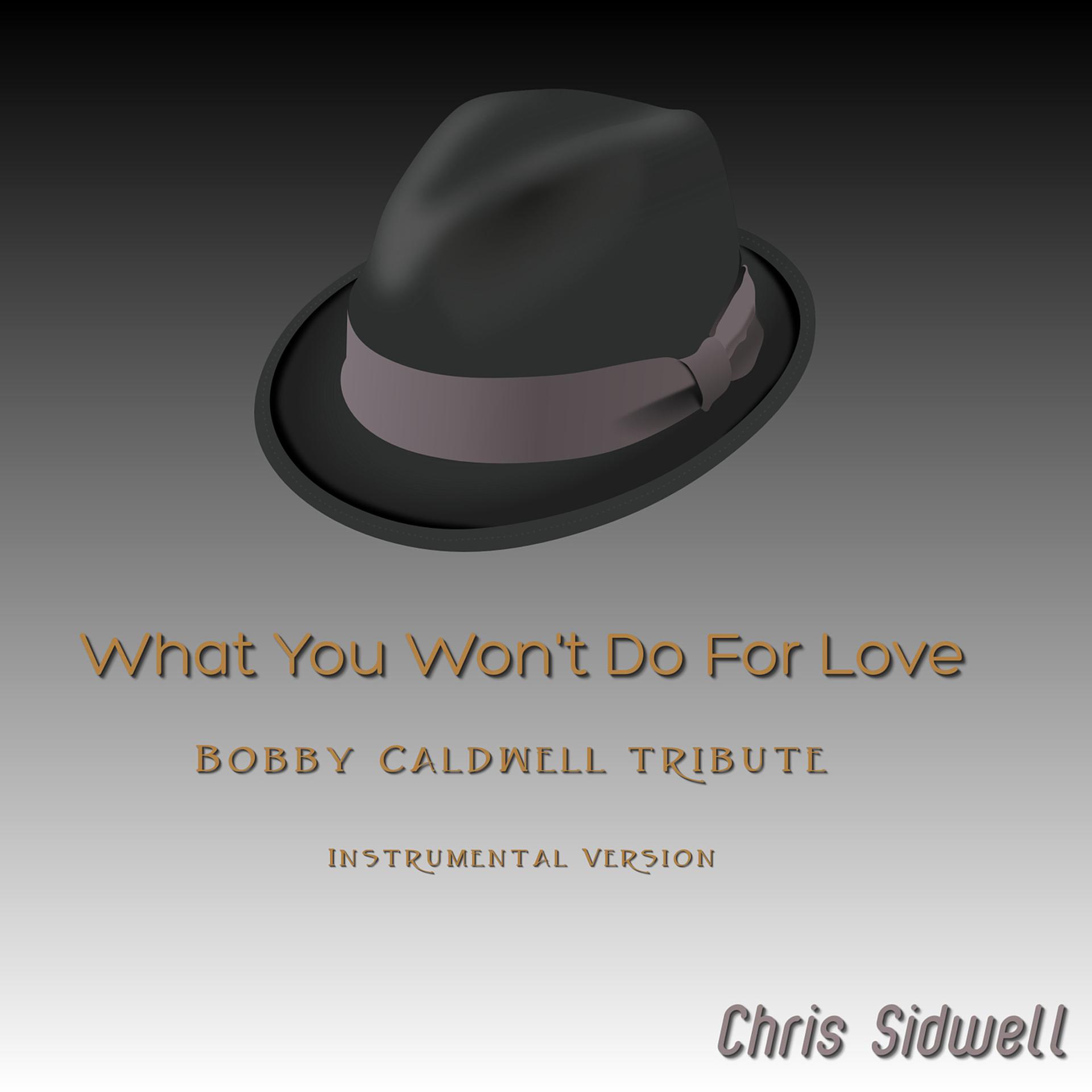 Постер альбома What You Won't Do for Love (Bobby Caldwell Tribute) [Instrumental Version]
