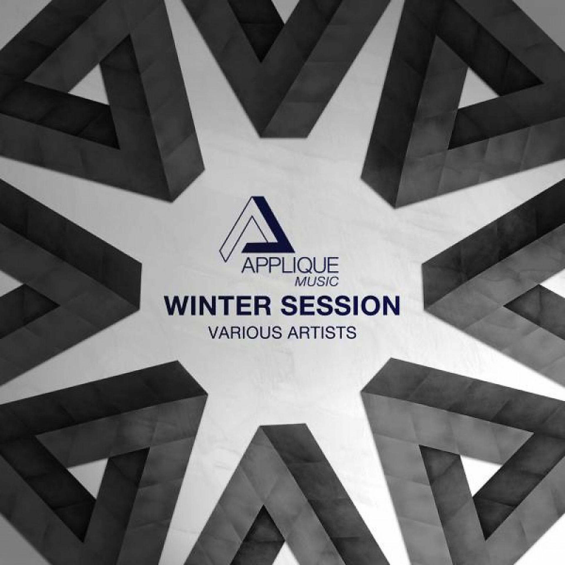Постер альбома Winter Session 2012