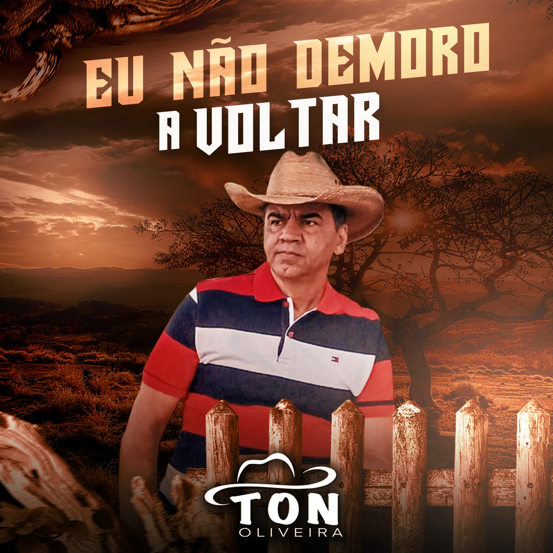 Постер альбома Eu Não Demoro a Voltar