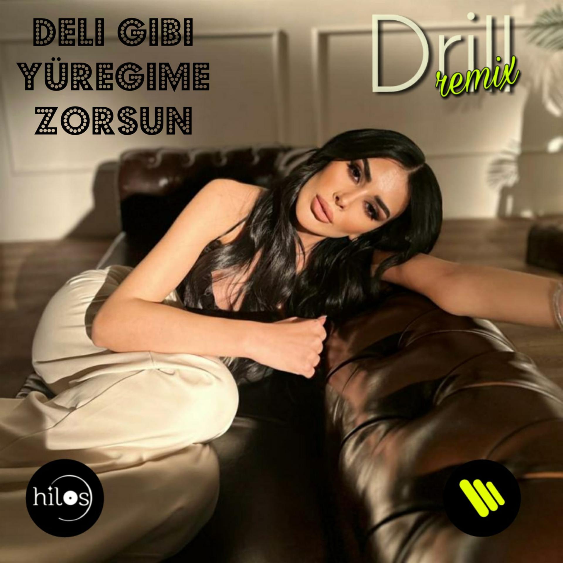 Постер альбома Deli Gibi Yüreğime Zorsun