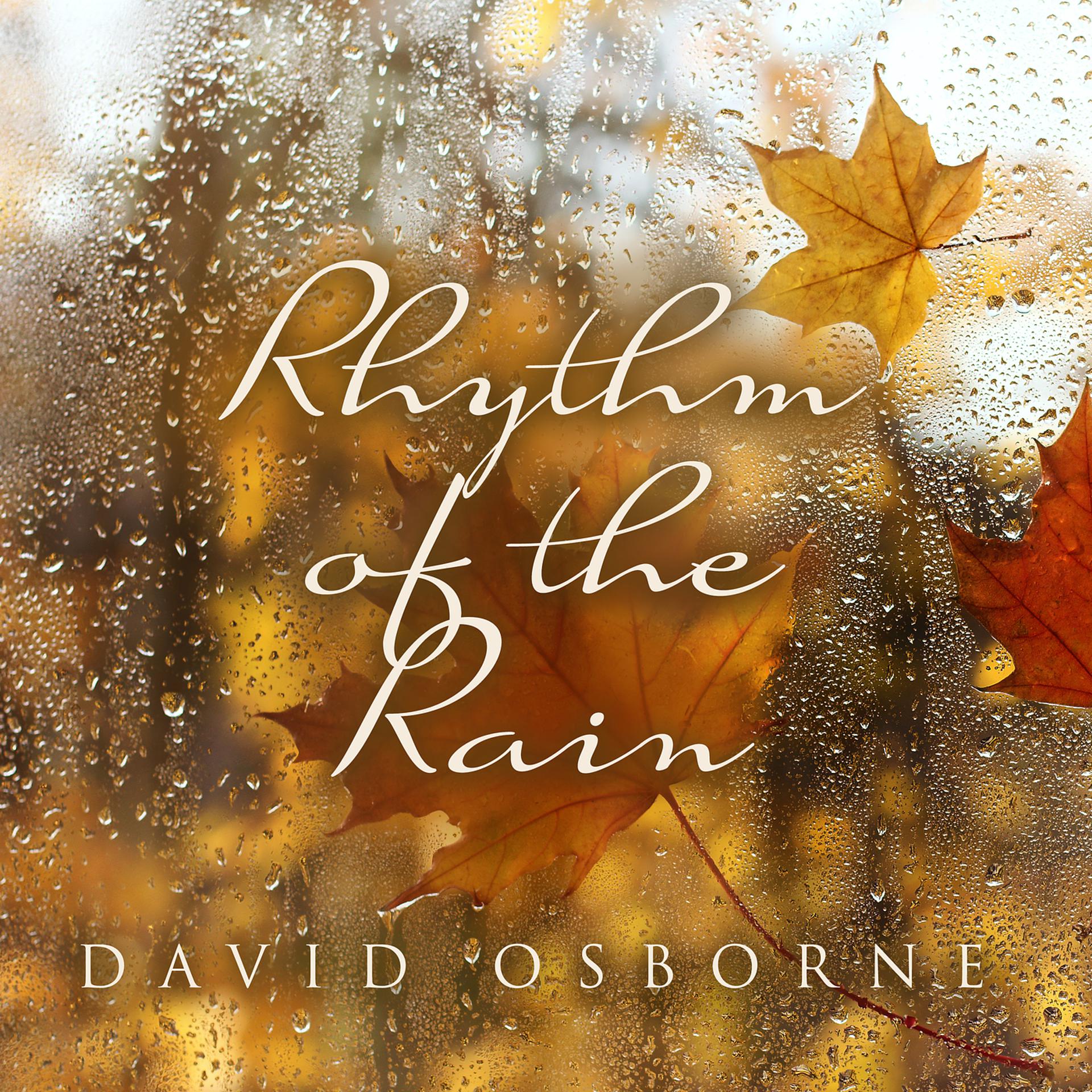 Постер альбома Rhythm of the Rain