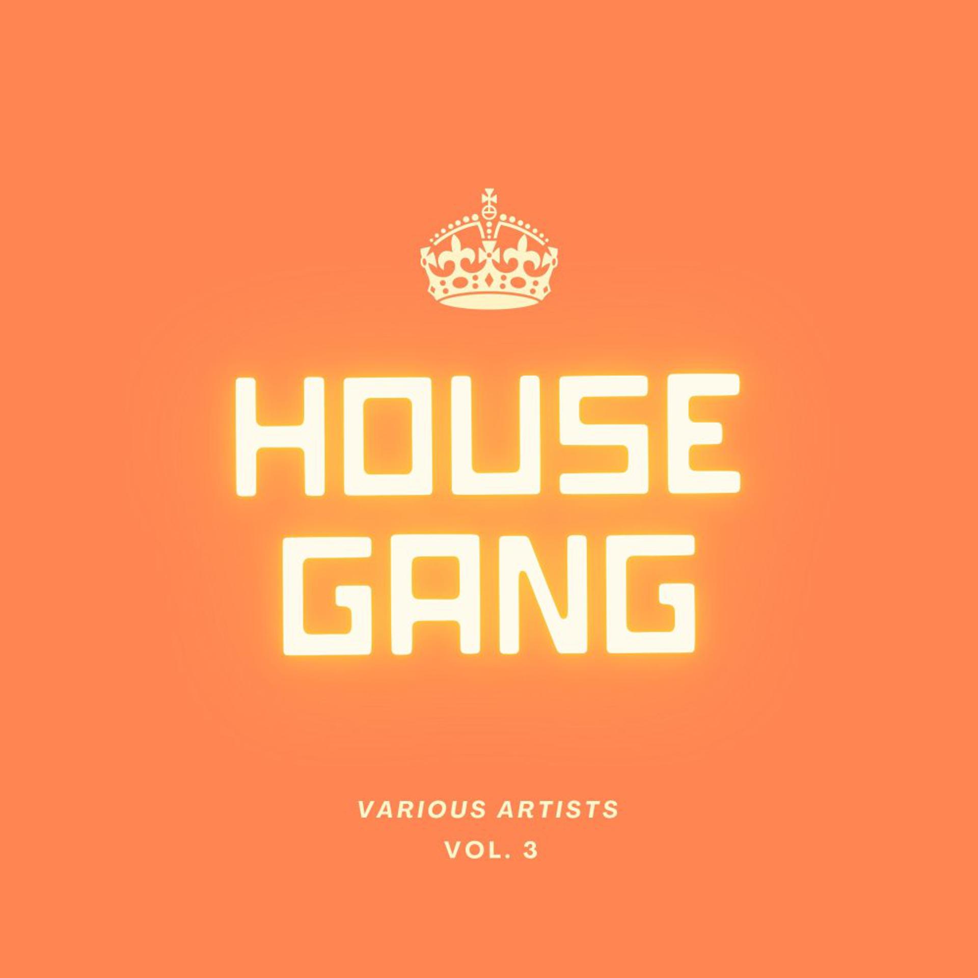 Постер альбома House Gang, Vol. 3