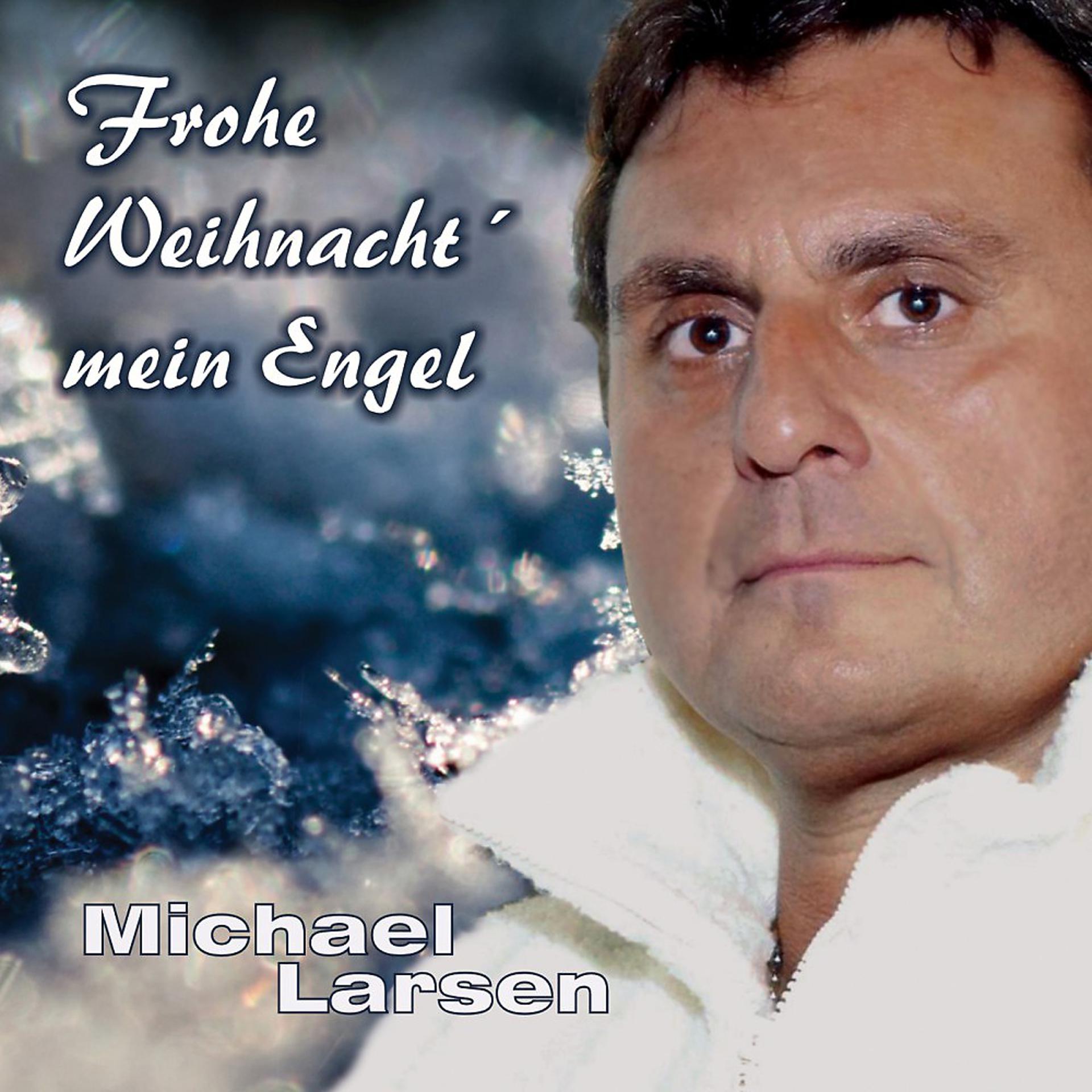 Постер альбома Frohe Weihnacht mein Engel