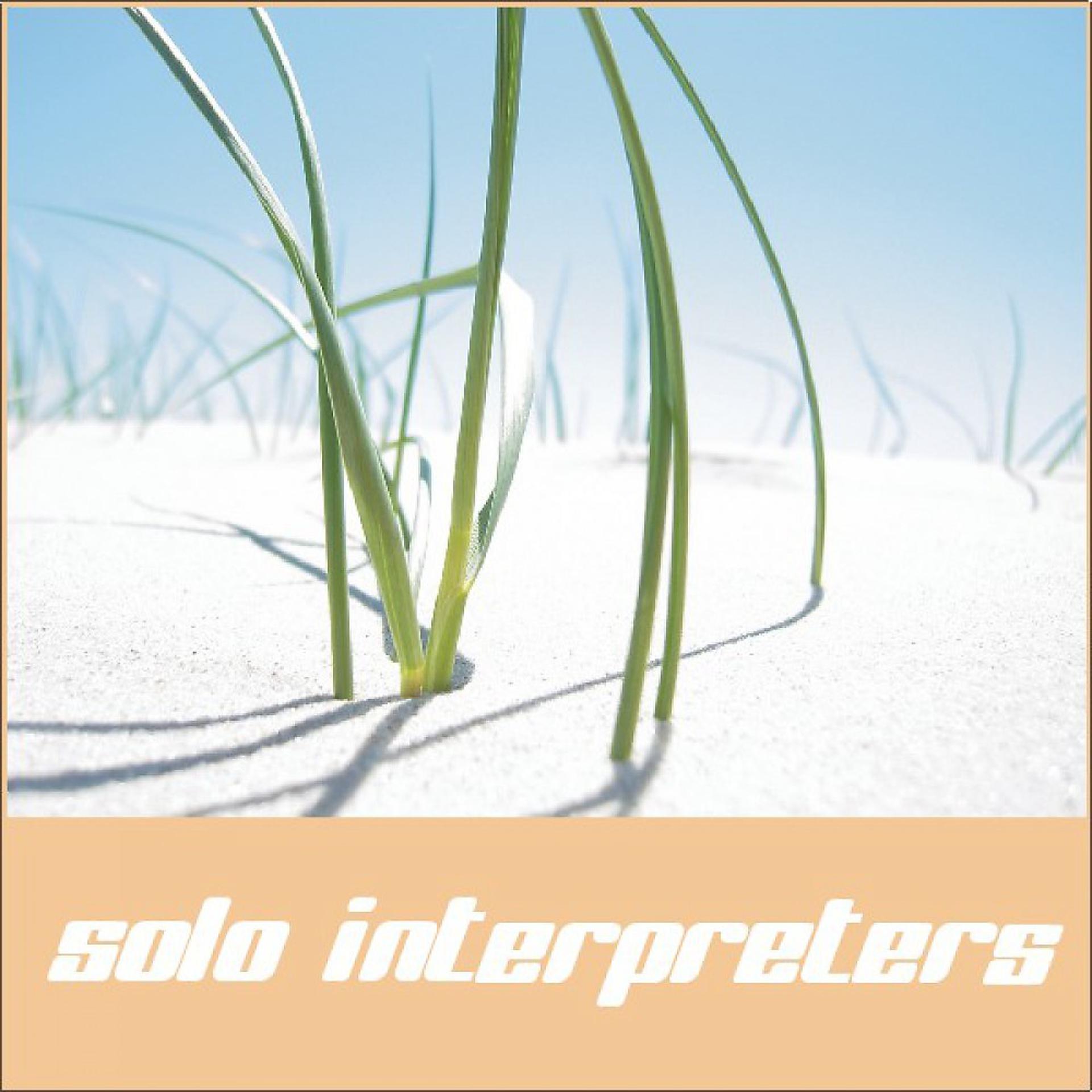 Постер альбома Solo Interpreters