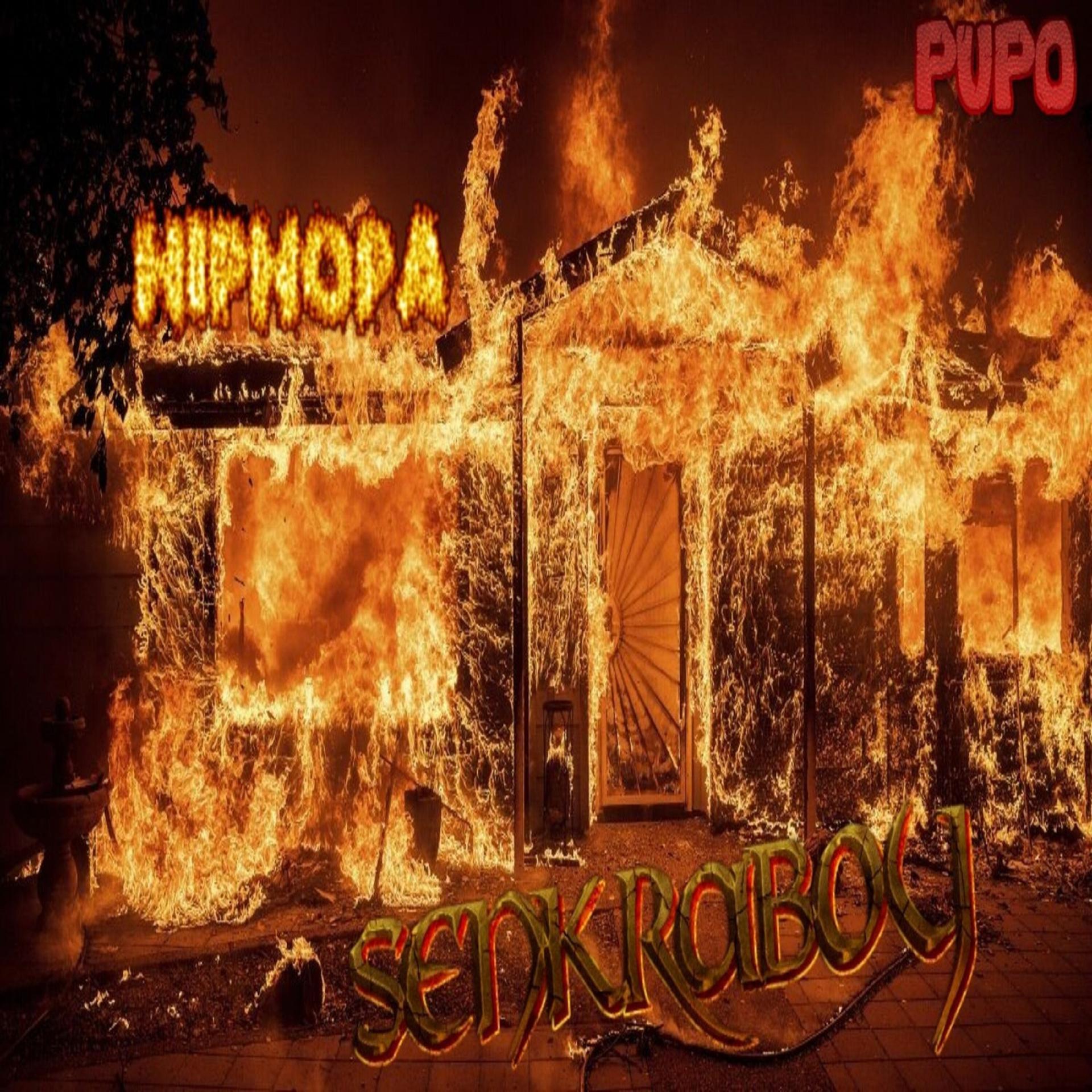 Постер альбома Hiphopa