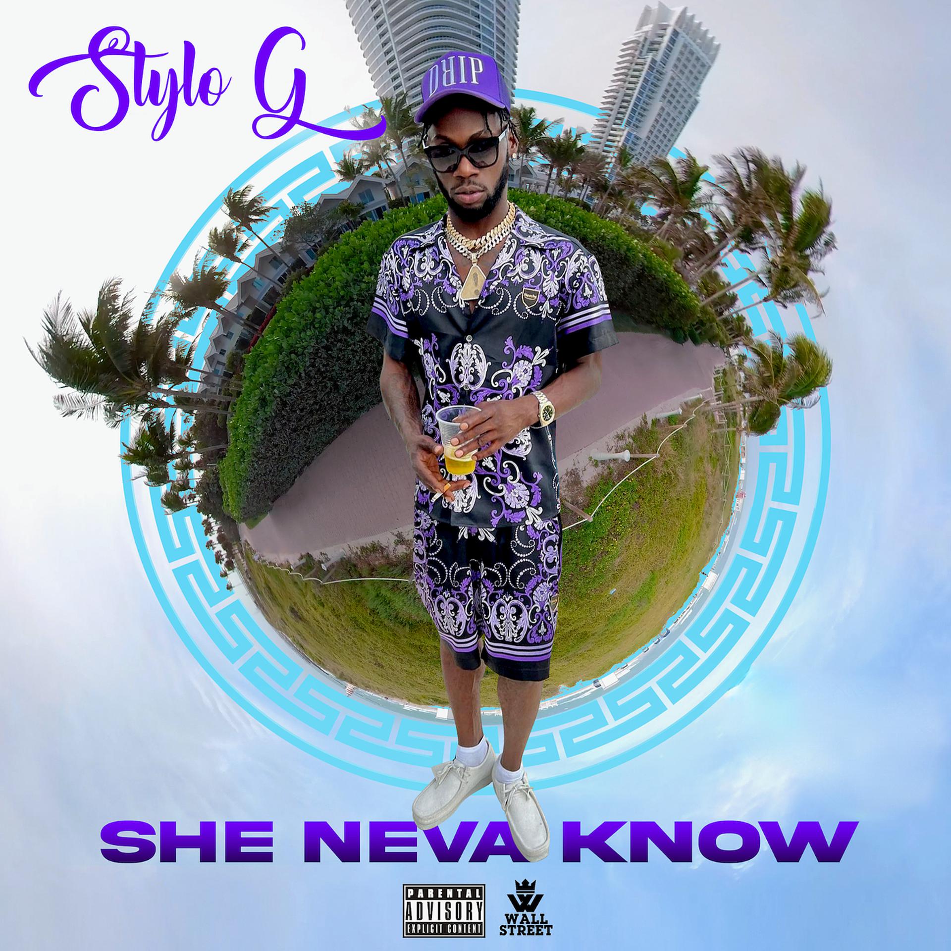 Постер альбома She Neva Know