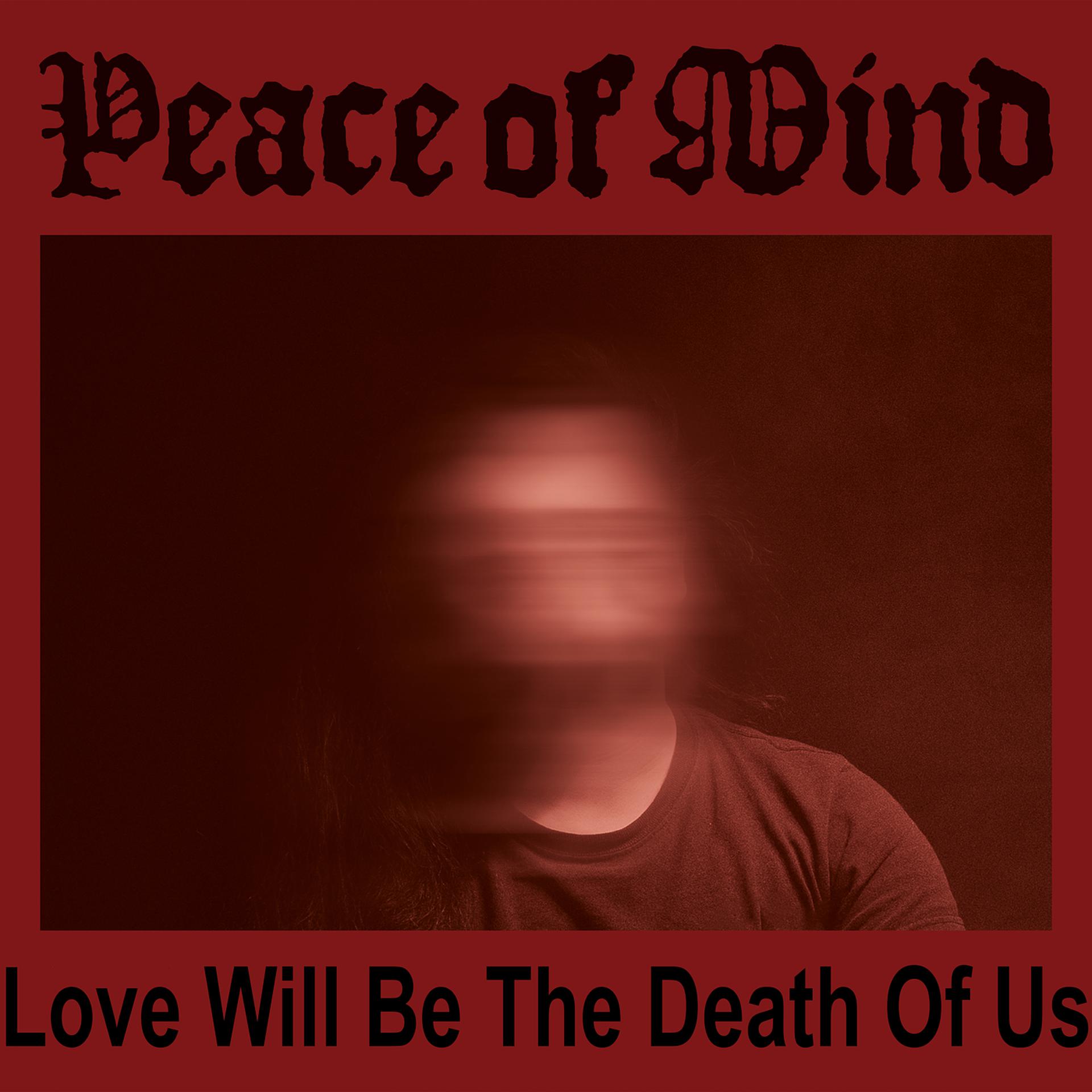 Постер альбома Love Will Be the Death of Us