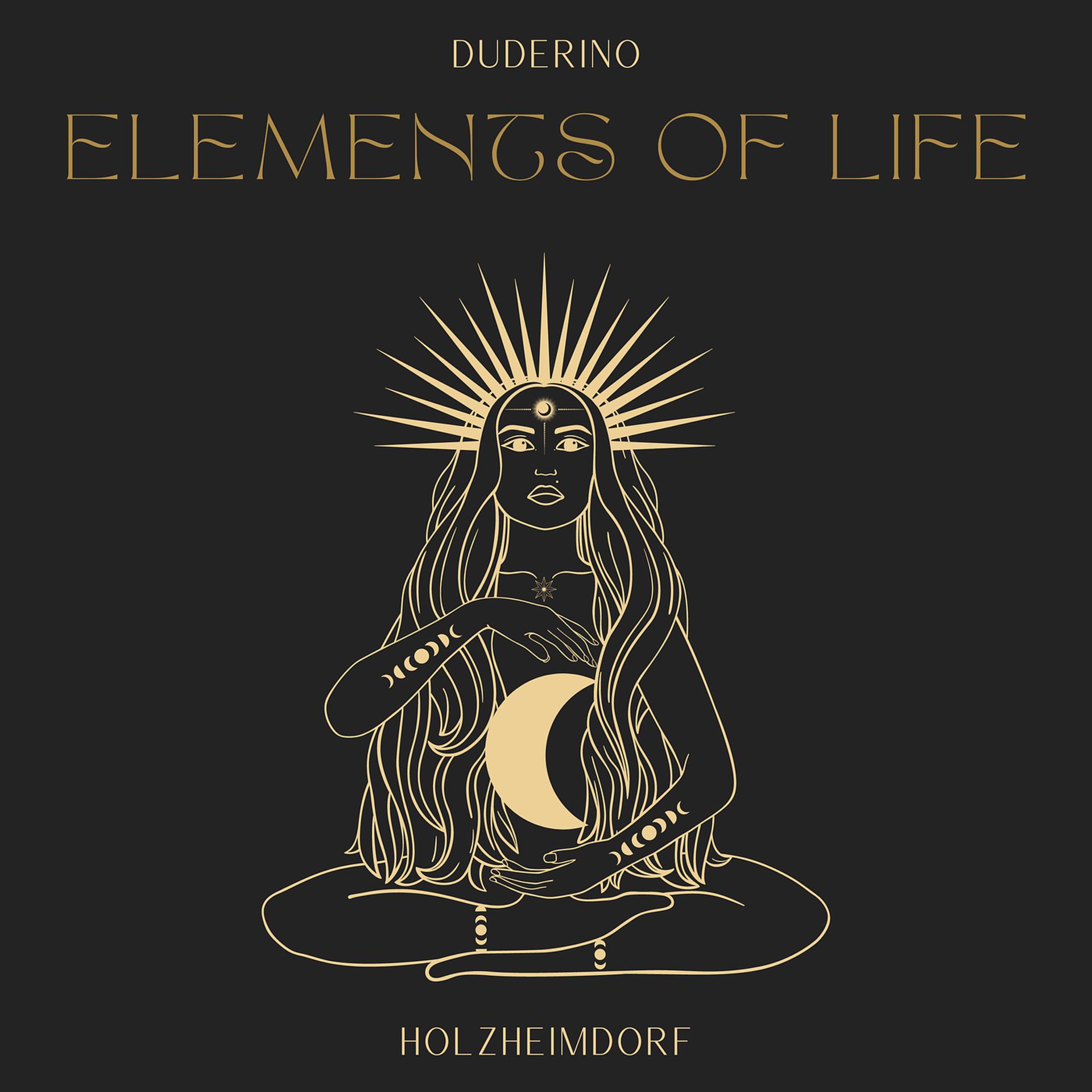 Постер альбома Elements of Life