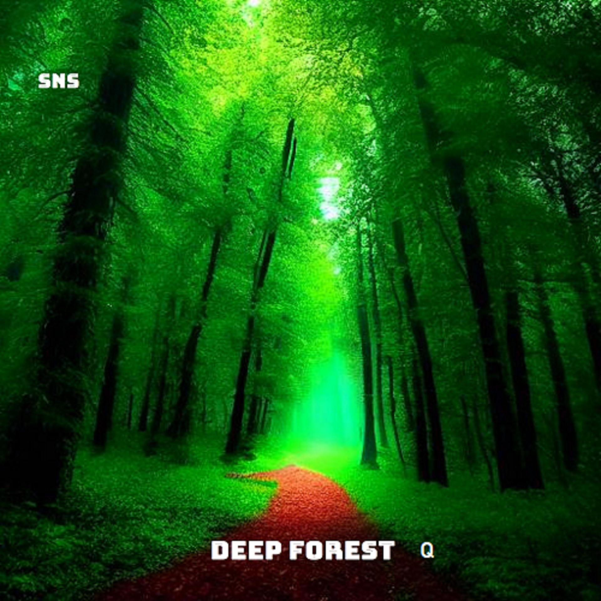 Постер альбома Deep Forest Q