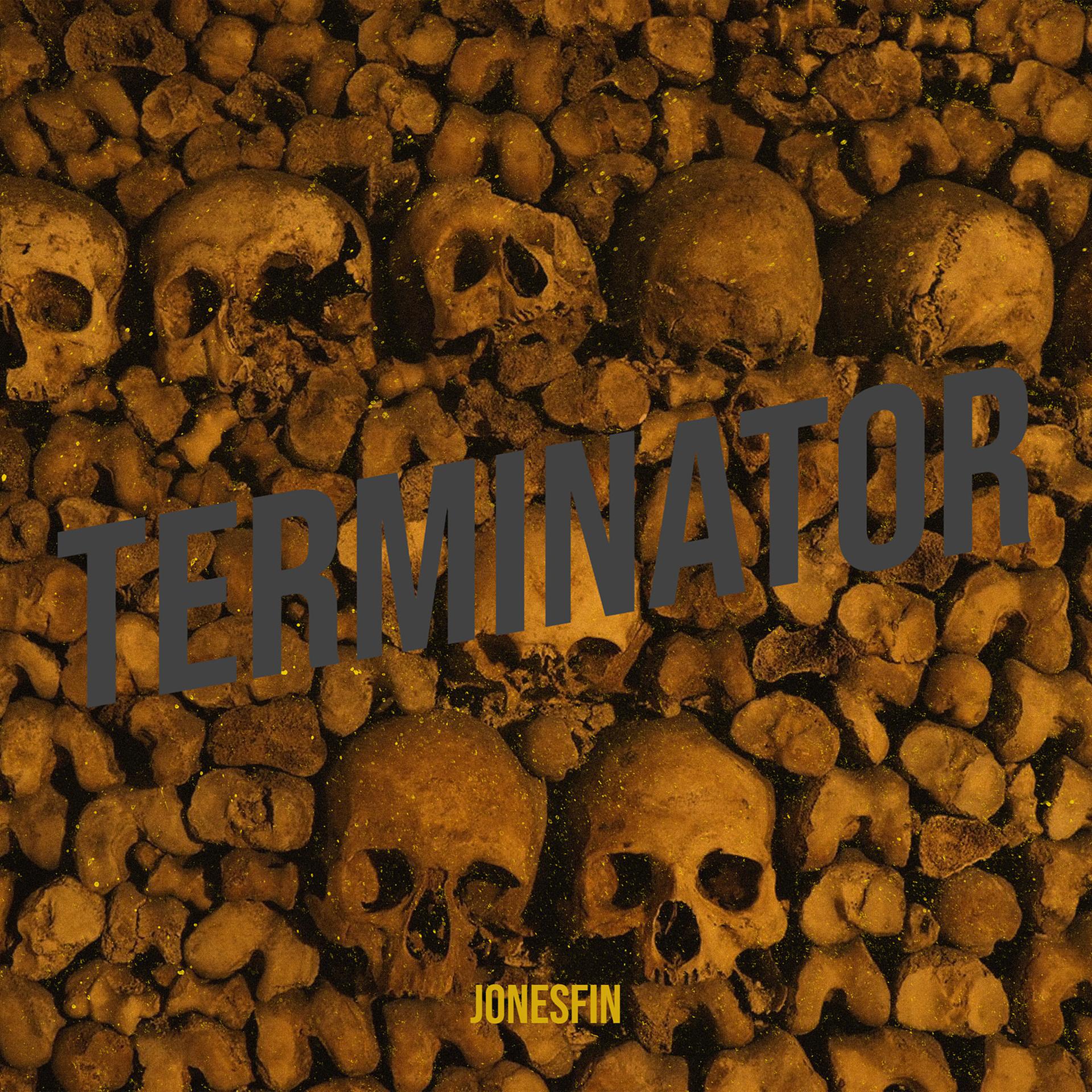 Постер альбома Terminator (From Terminator Soundtrack)