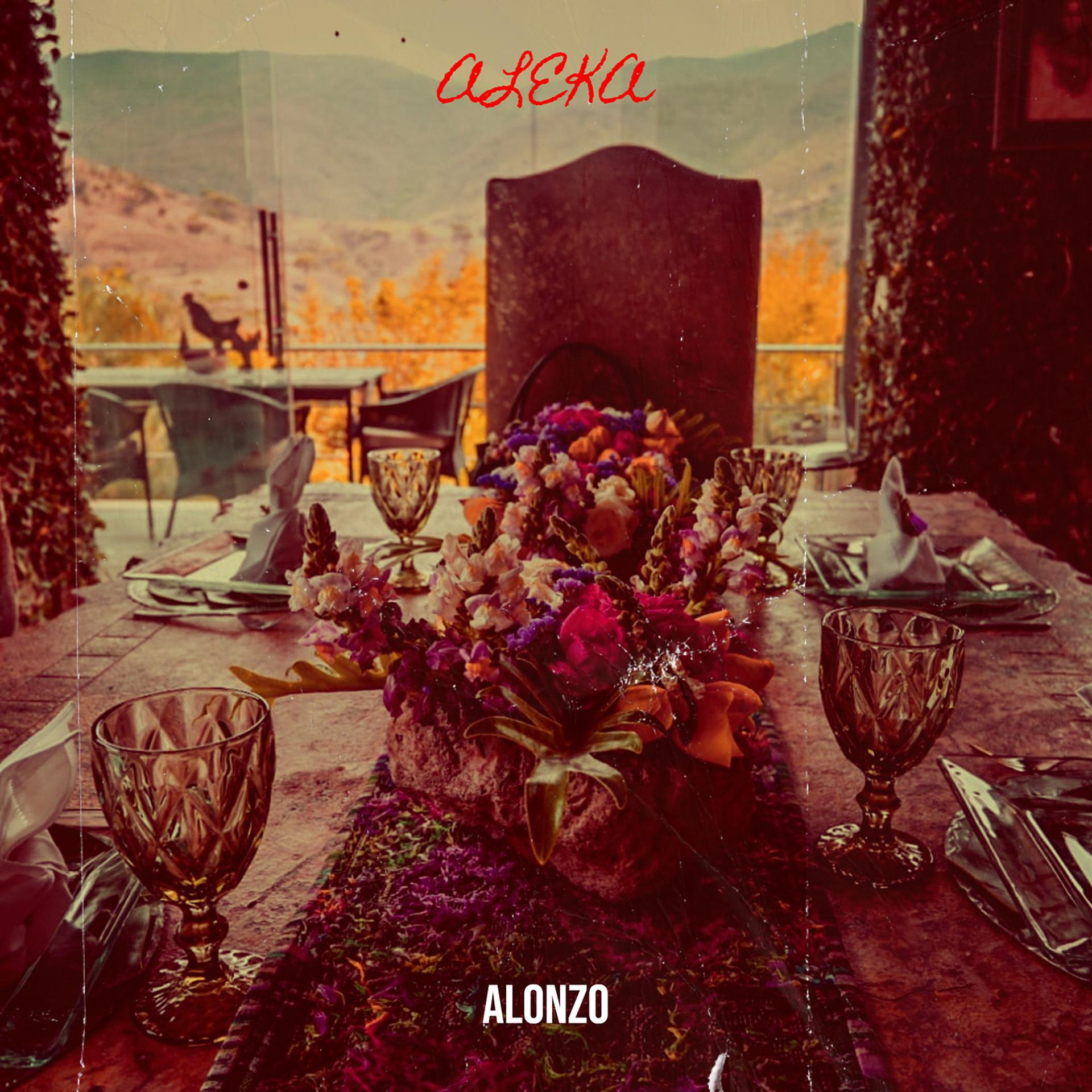 Постер альбома Aleka