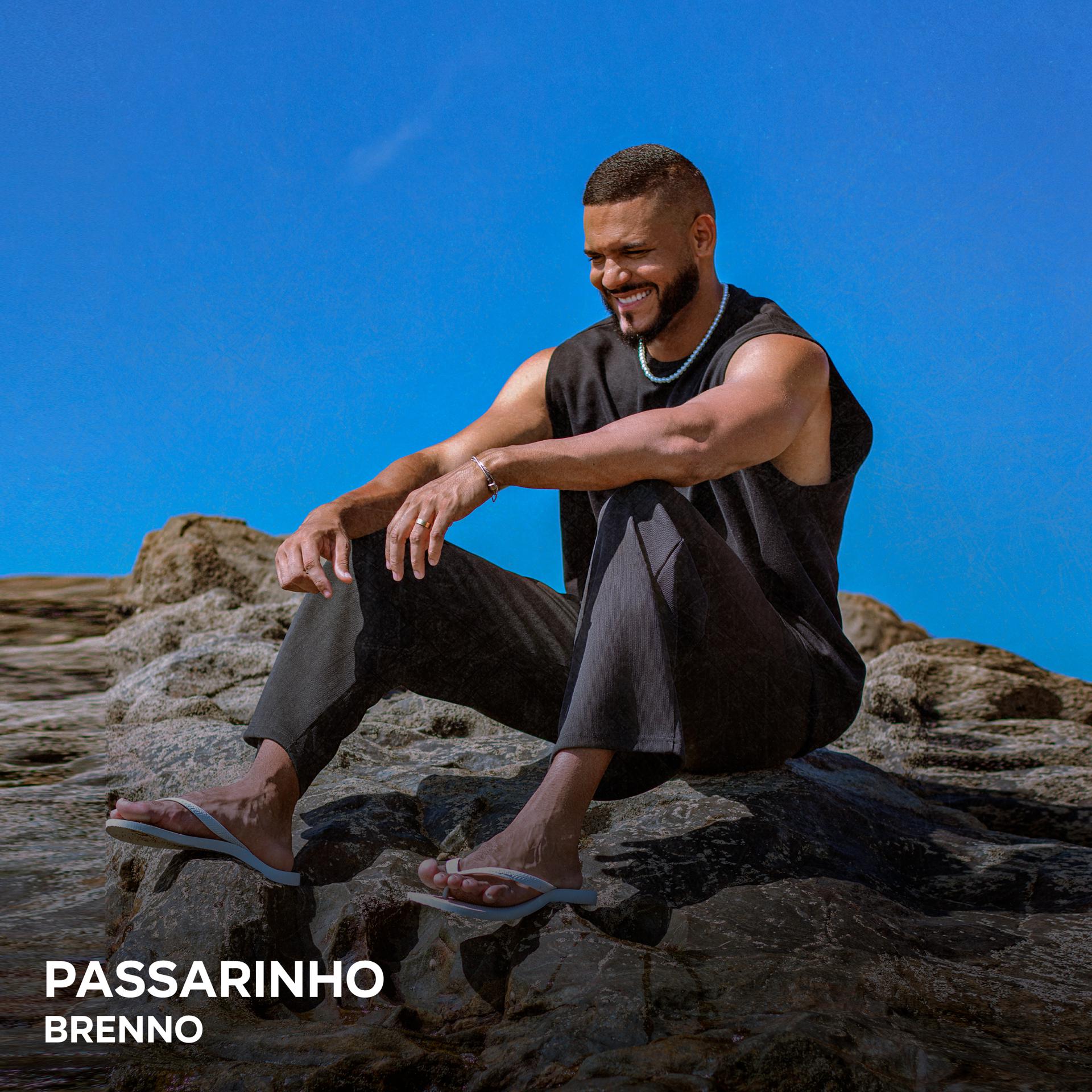 Постер альбома Passarinho