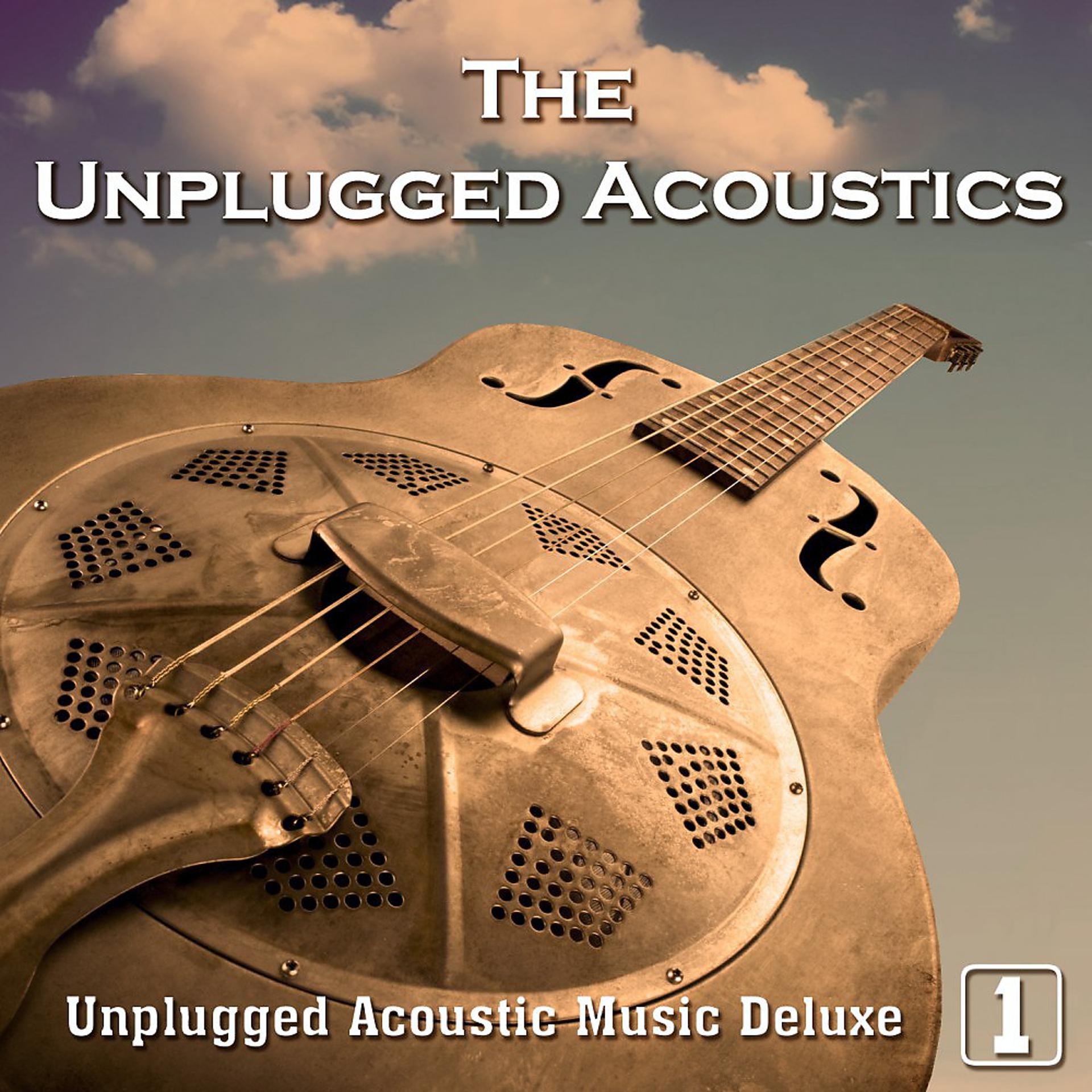 Постер альбома Unplugged Acoustic Music Deluxe, Vol. 1