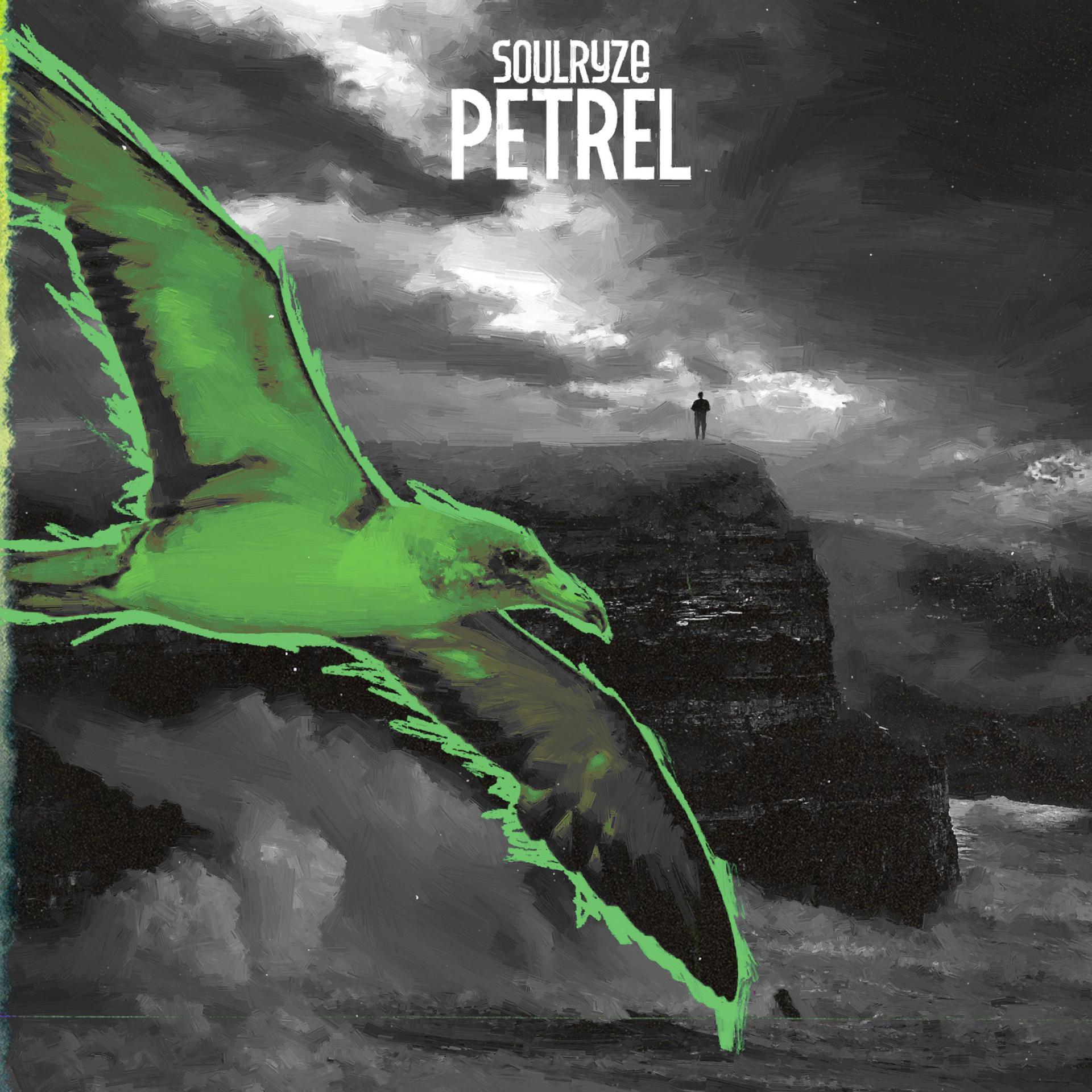 Постер альбома Petrel