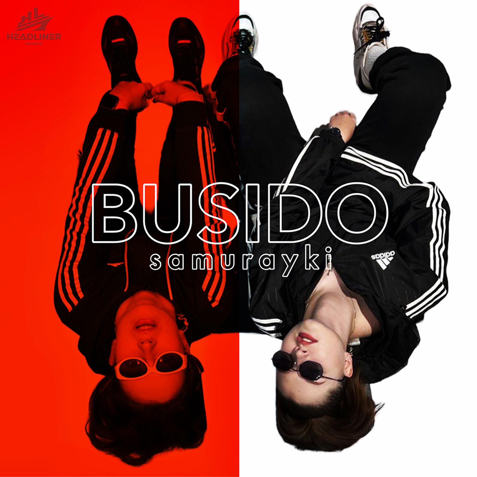 Постер альбома BUSIDO