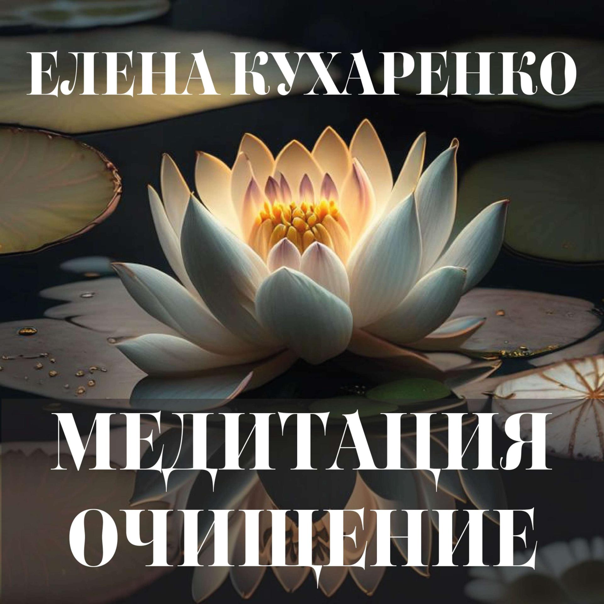Постер альбома Медитация очищение