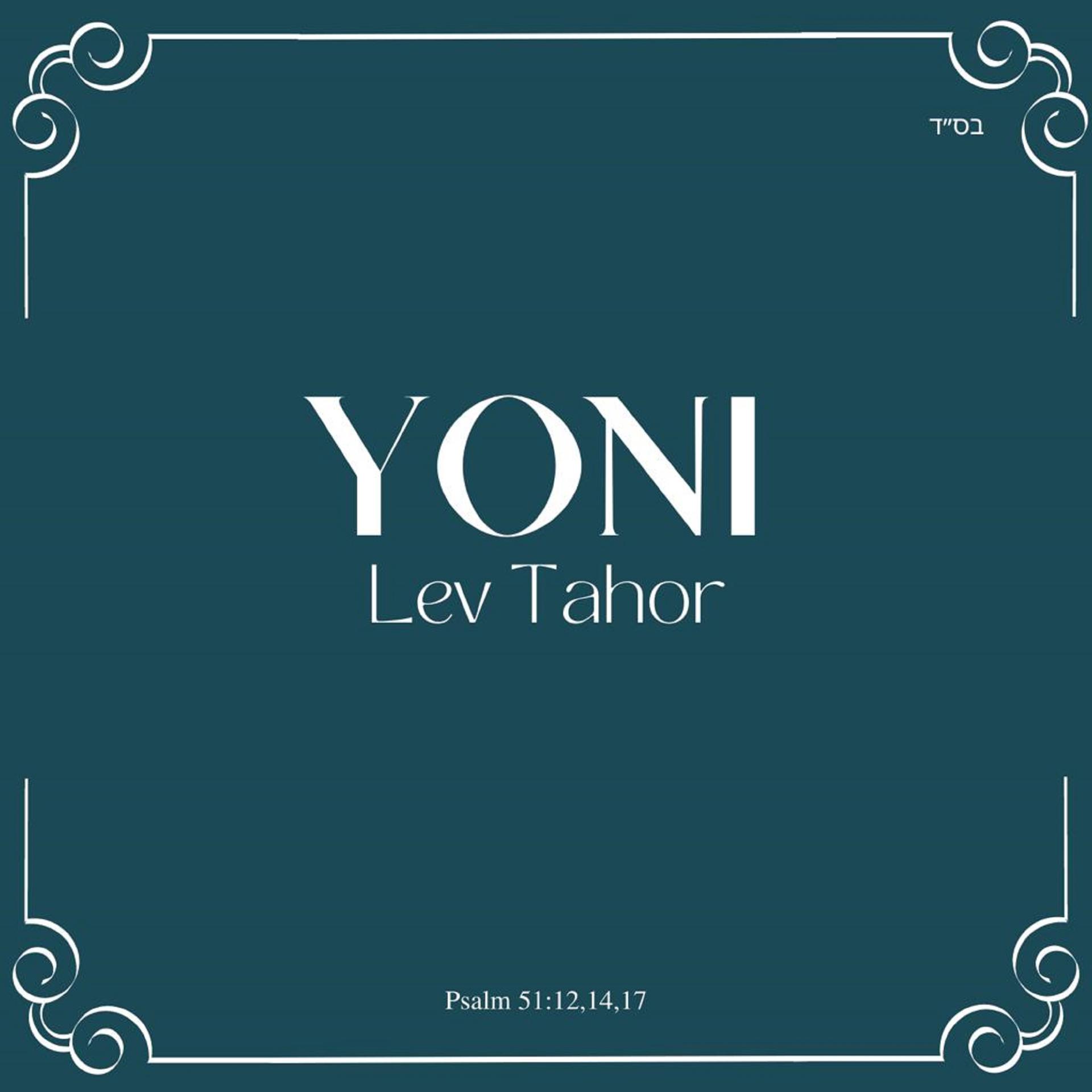 Постер альбома Lev Tahor