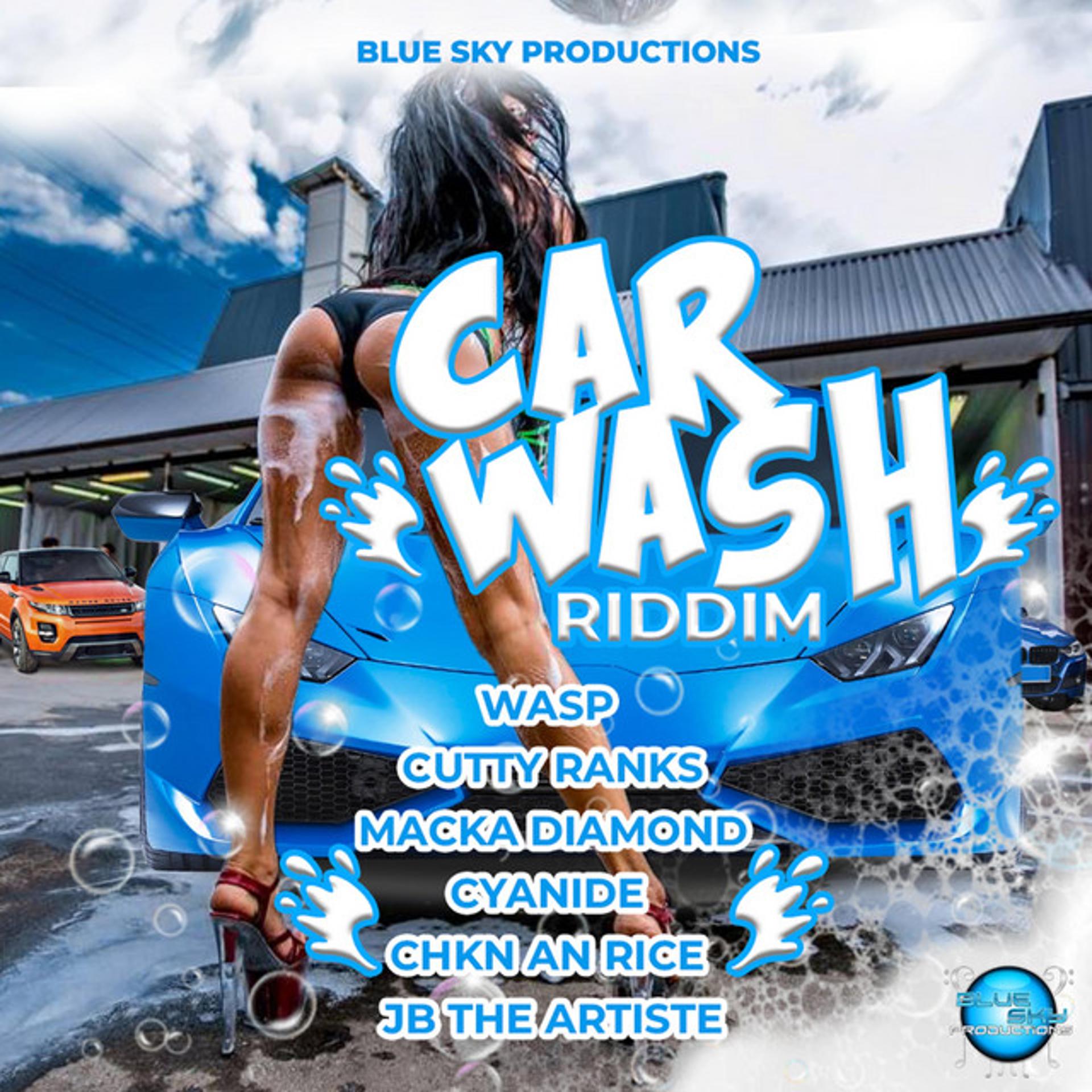 Постер альбома Car Wash Riddim