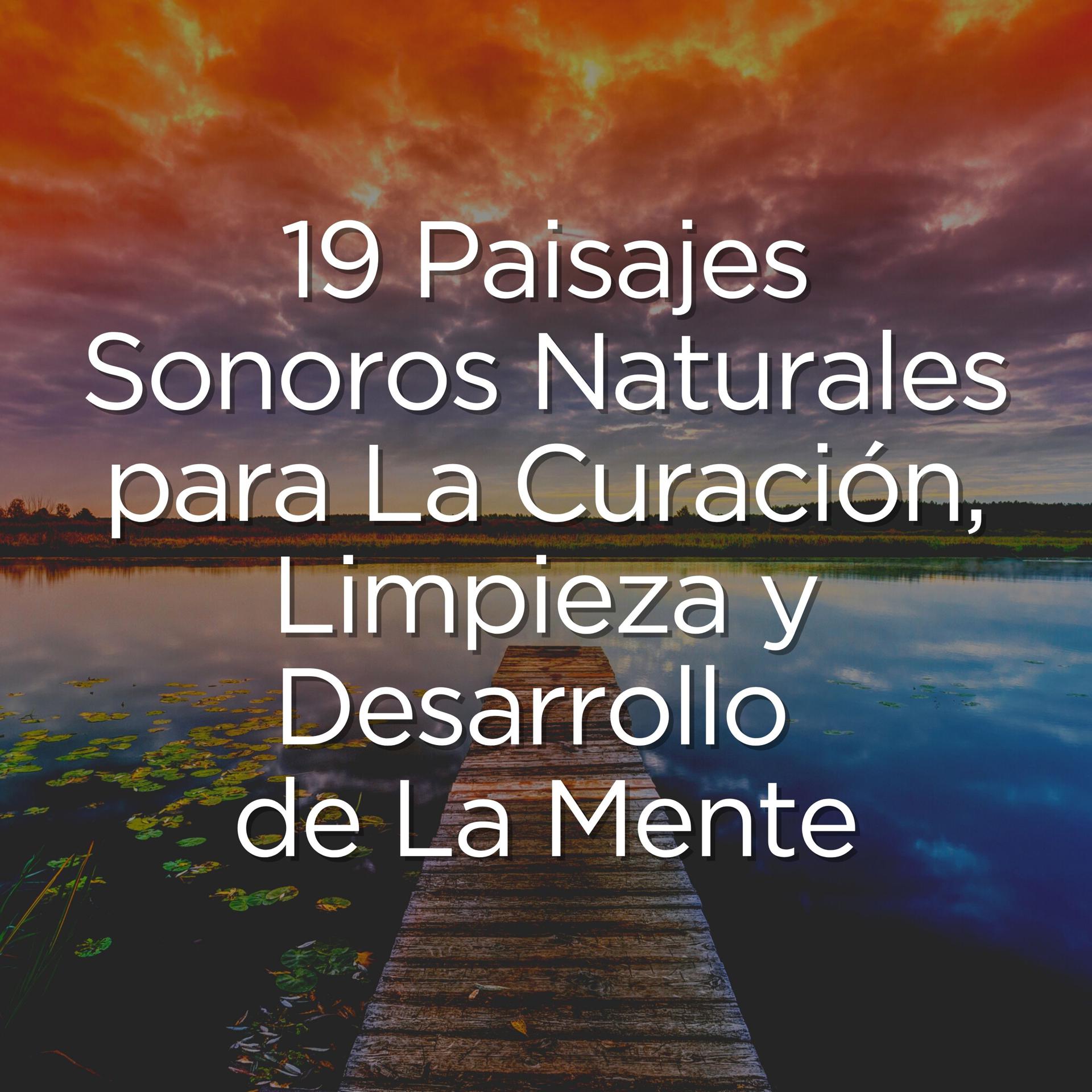 Постер альбома 19 Paisajes Sonoros Naturales para La Curación, Limpieza y Desarrollo de La Mente