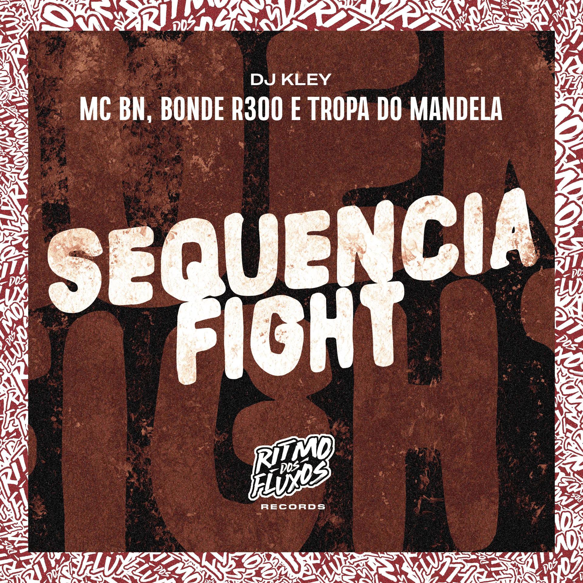Постер альбома Sequência Fight