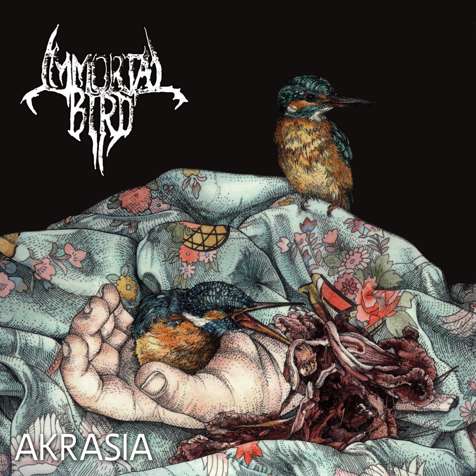 Постер альбома Akrasia