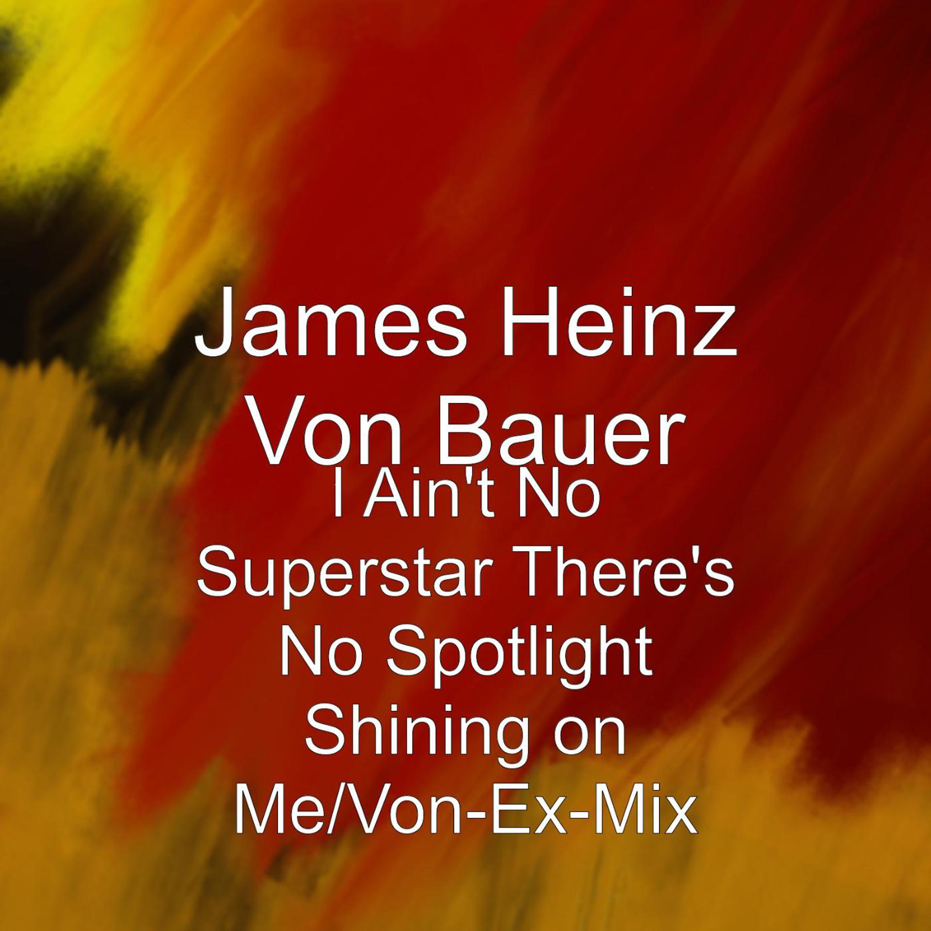 Постер альбома I Ain't No Superstar There's No Spotlight Shining on Me/Von-Ex-Mix