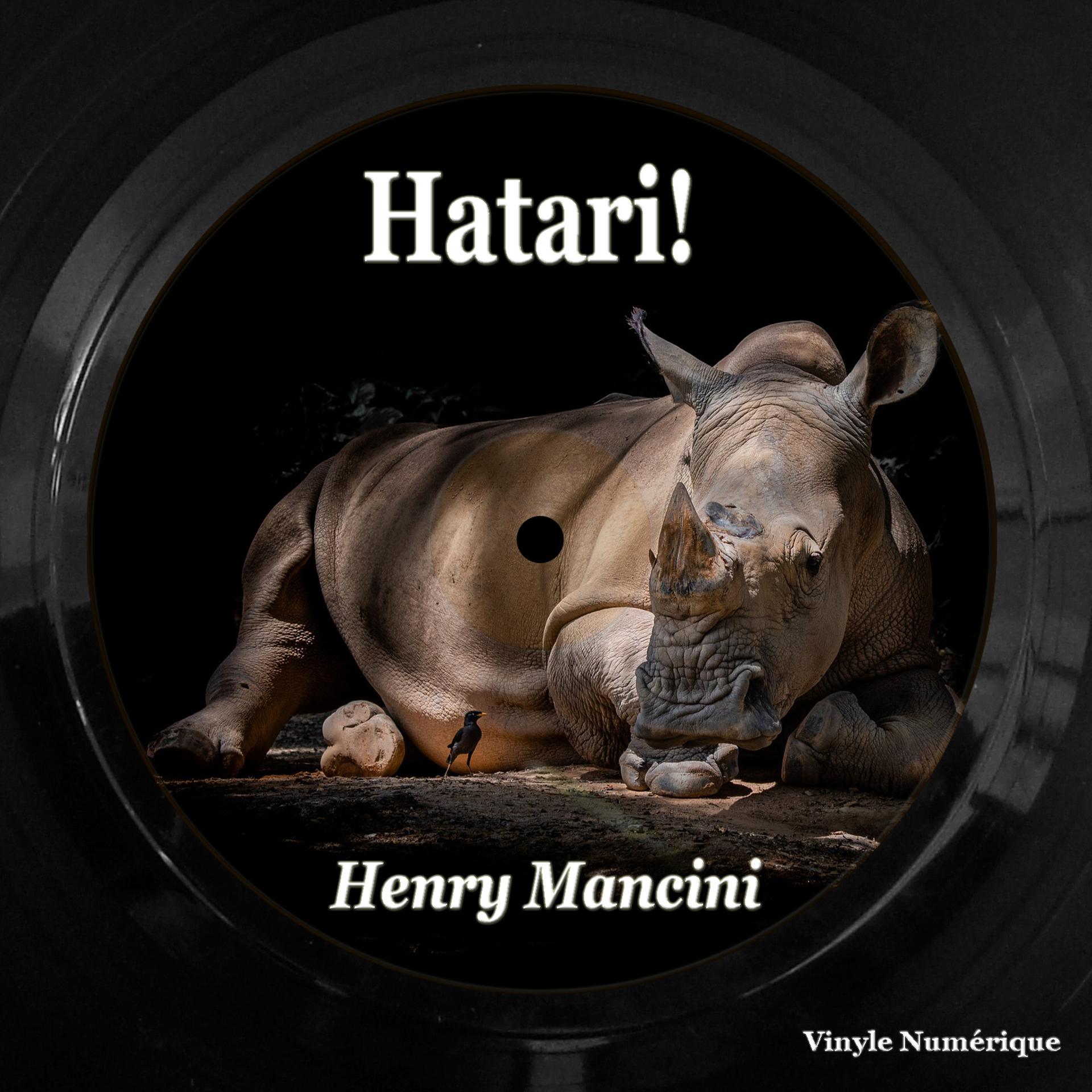 Постер альбома Hatari!