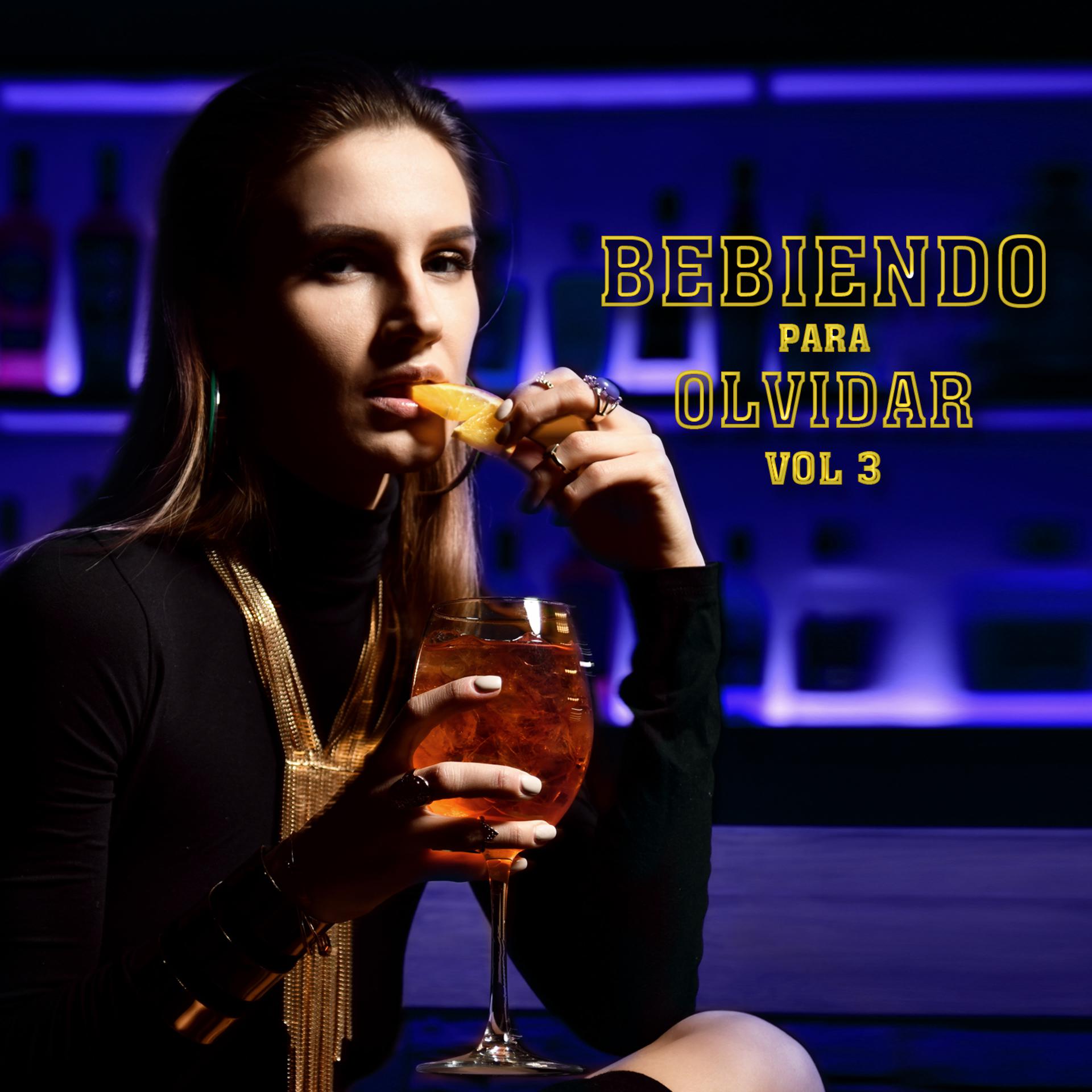 Постер альбома Bebiendo Para Olvidar, Vol.3