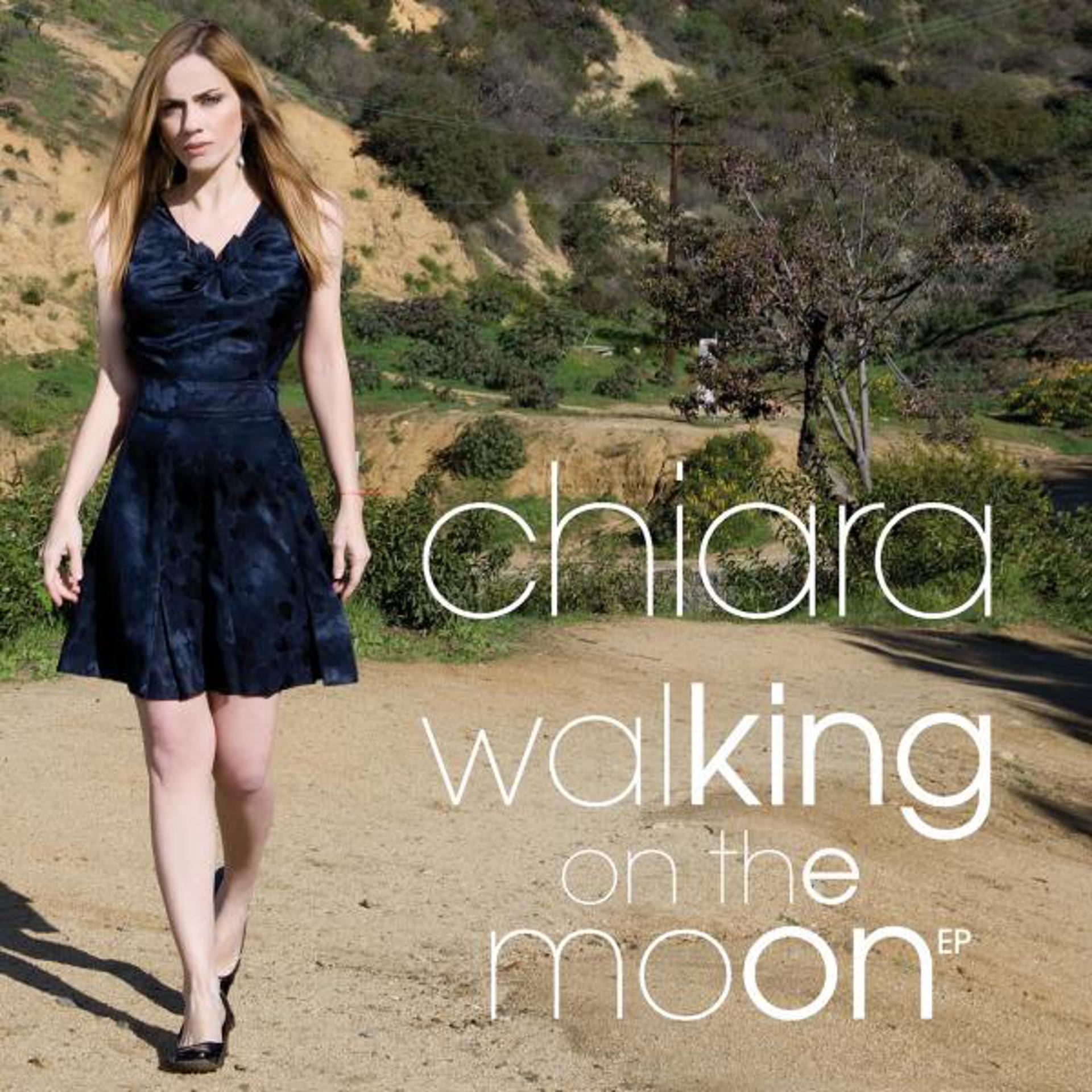 Постер альбома Walking On The Moon
