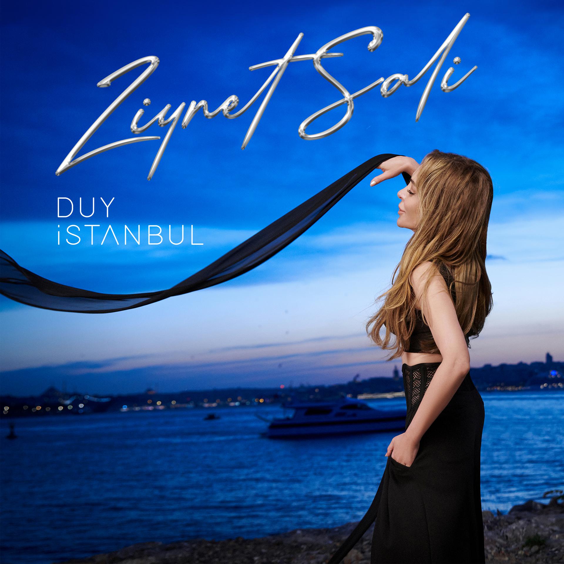 Постер альбома Duy İstanbul