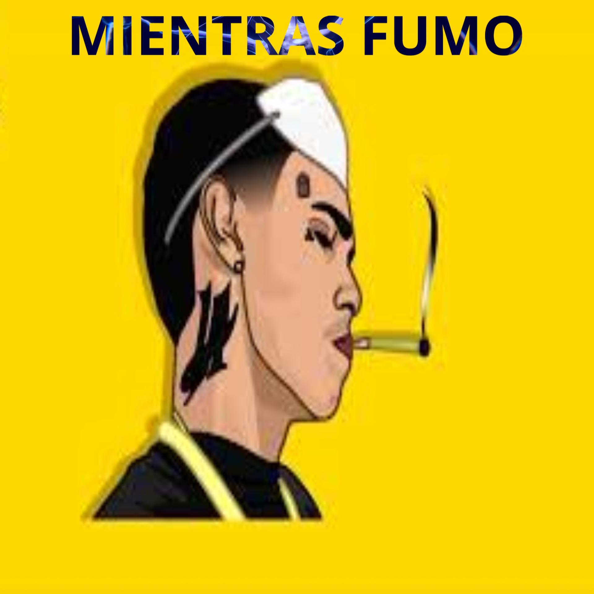 Постер альбома Mientras fumo