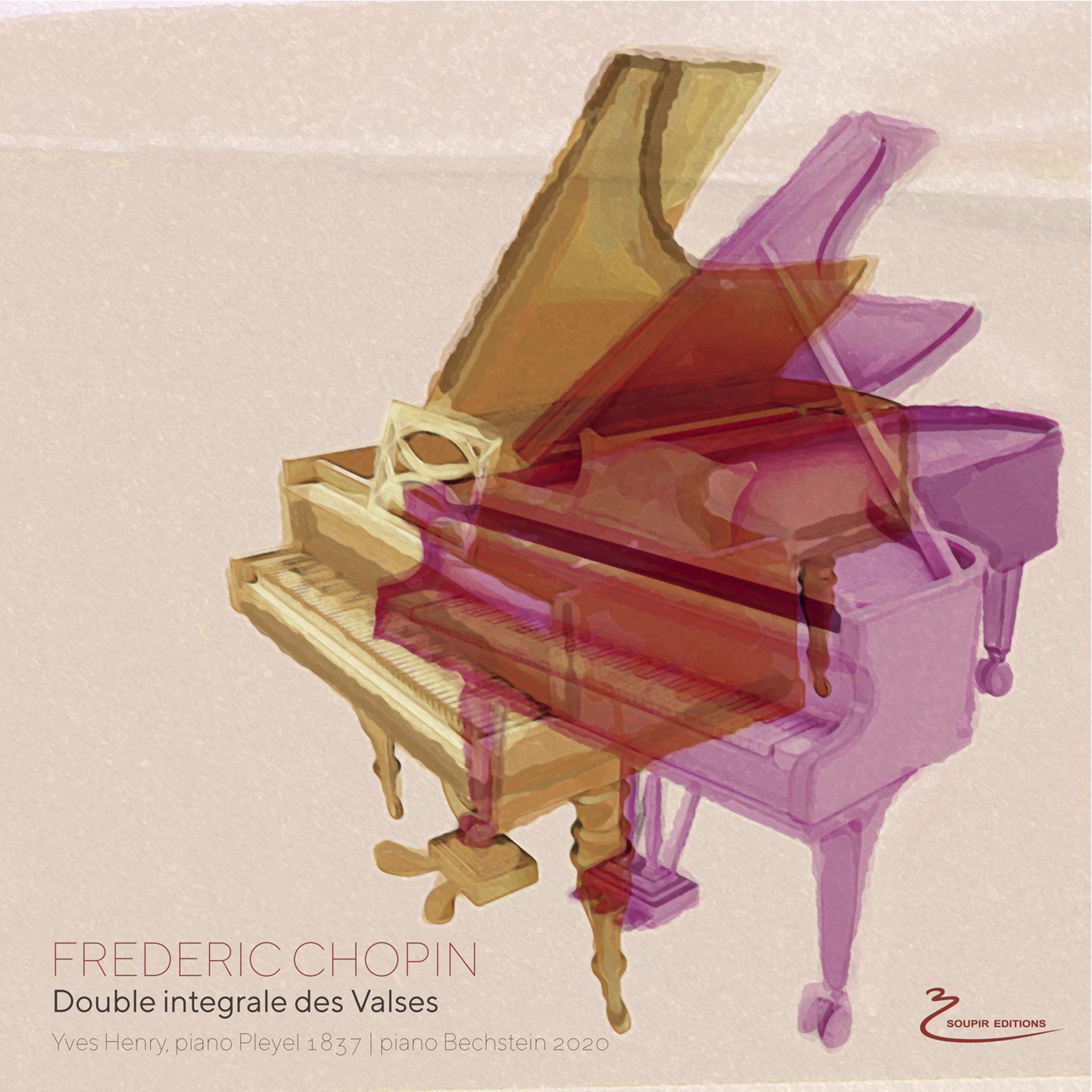 Постер альбома Chopin: Double intégrale des valses