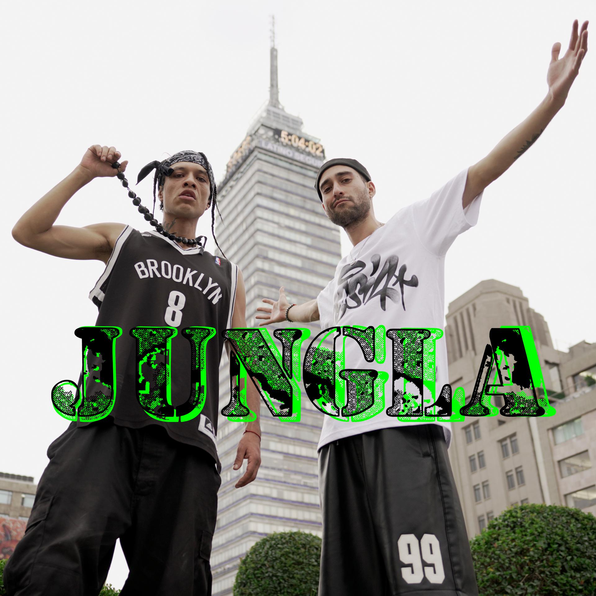 Постер альбома Jungla