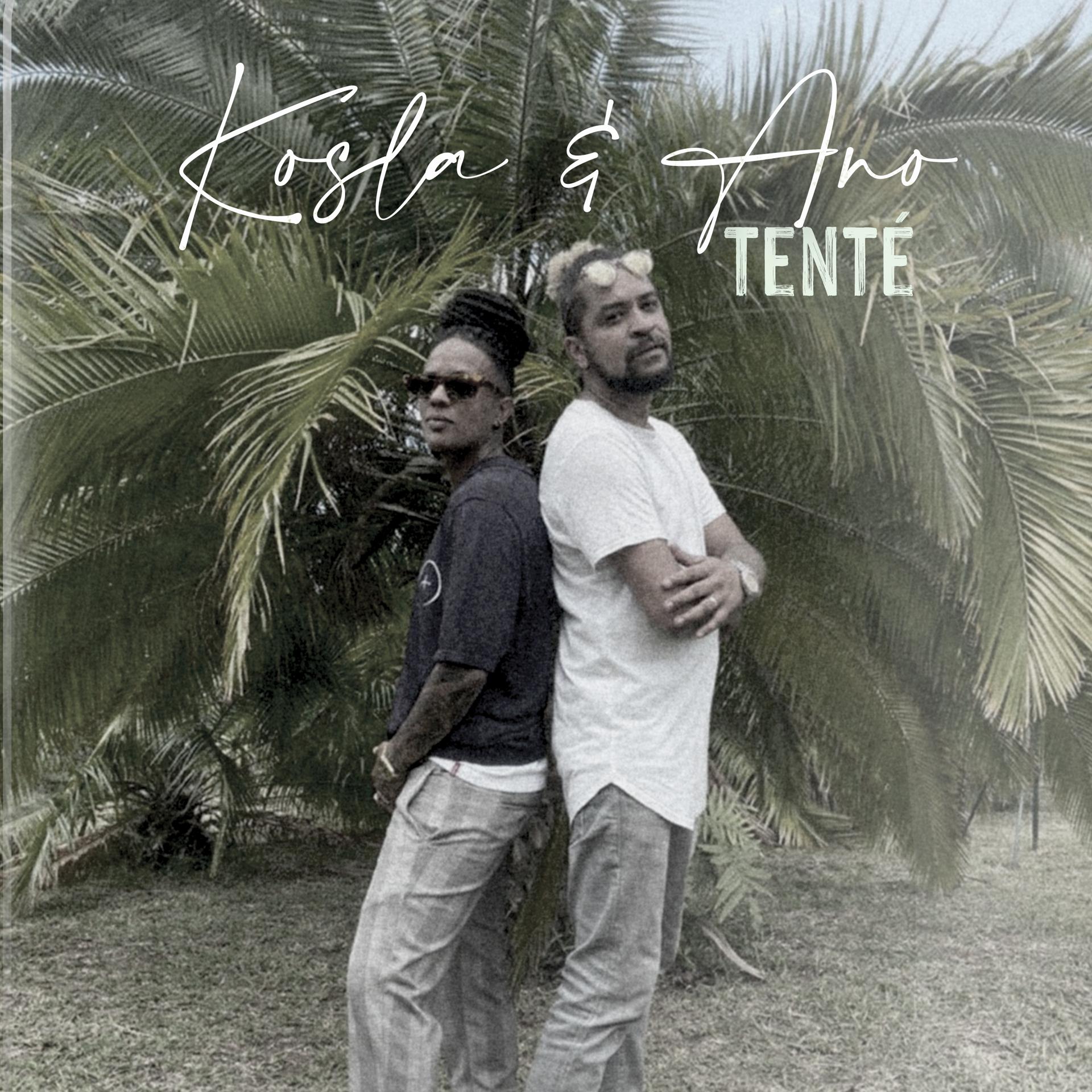 Постер альбома Tenté