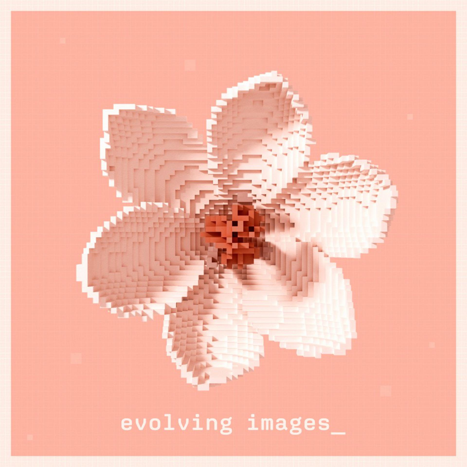 Постер альбома Evolving Images